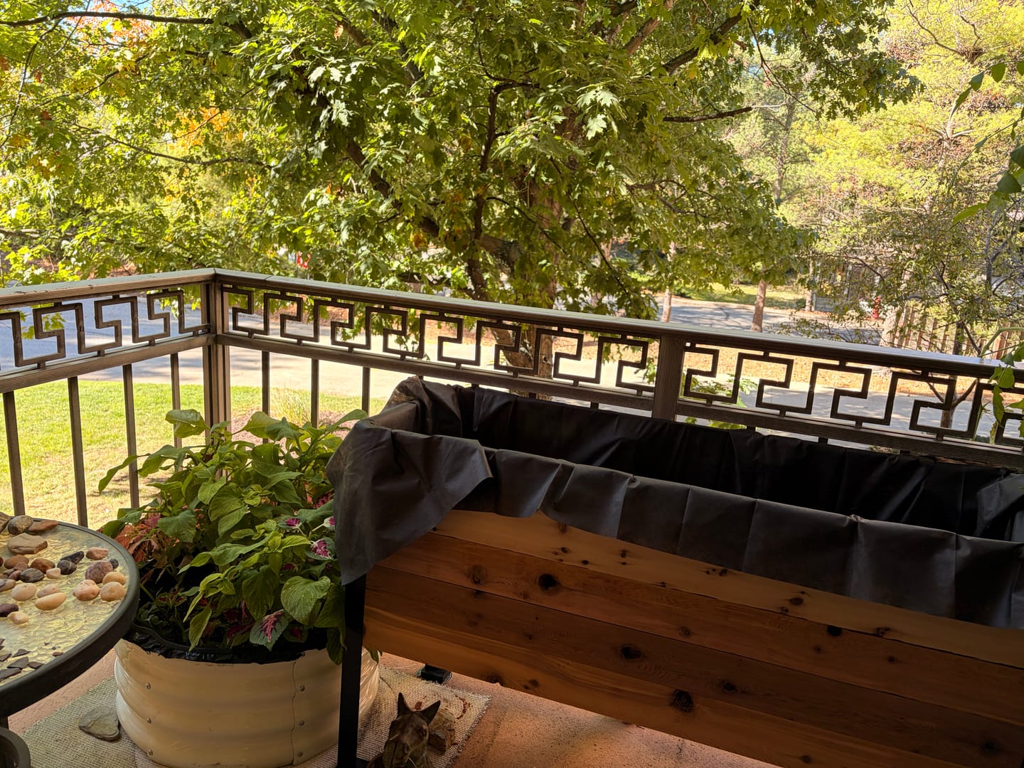 Customer photo review of 11.5″ x 48″ Deep Root Raised Garden Bed - 30″ TALL - Select Grade