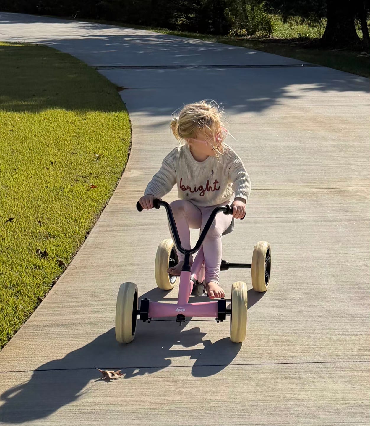 Customer photo review of BERG Buzzy