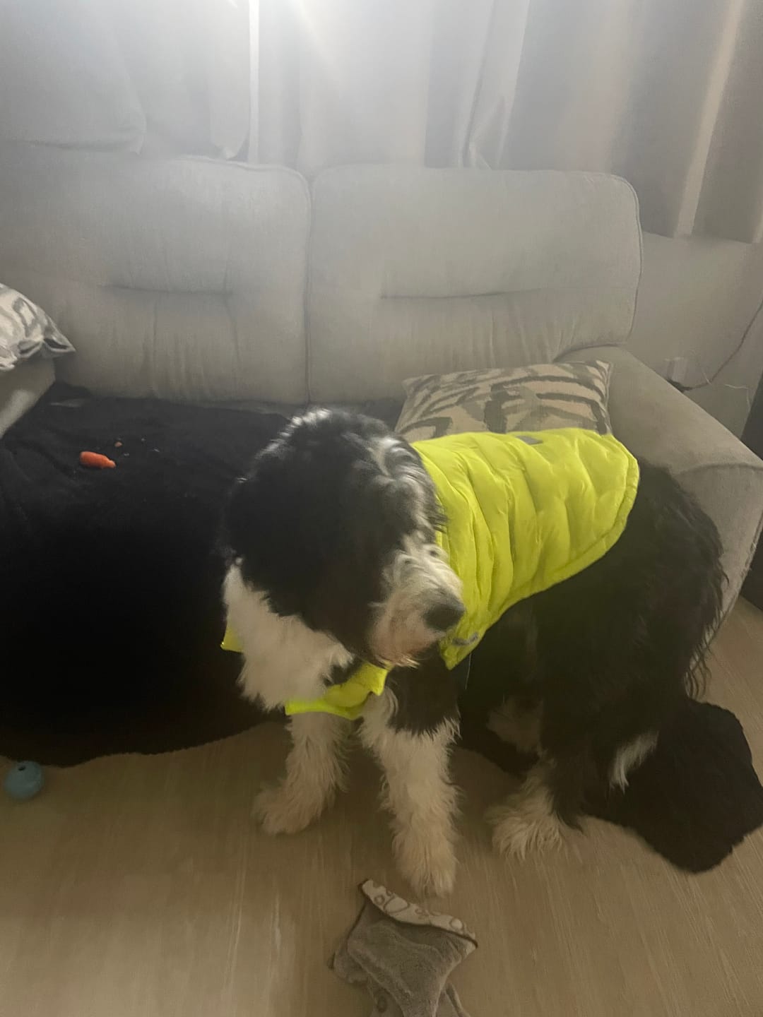 Customer photo review of ThermoSonic Winter Jacket - Neon