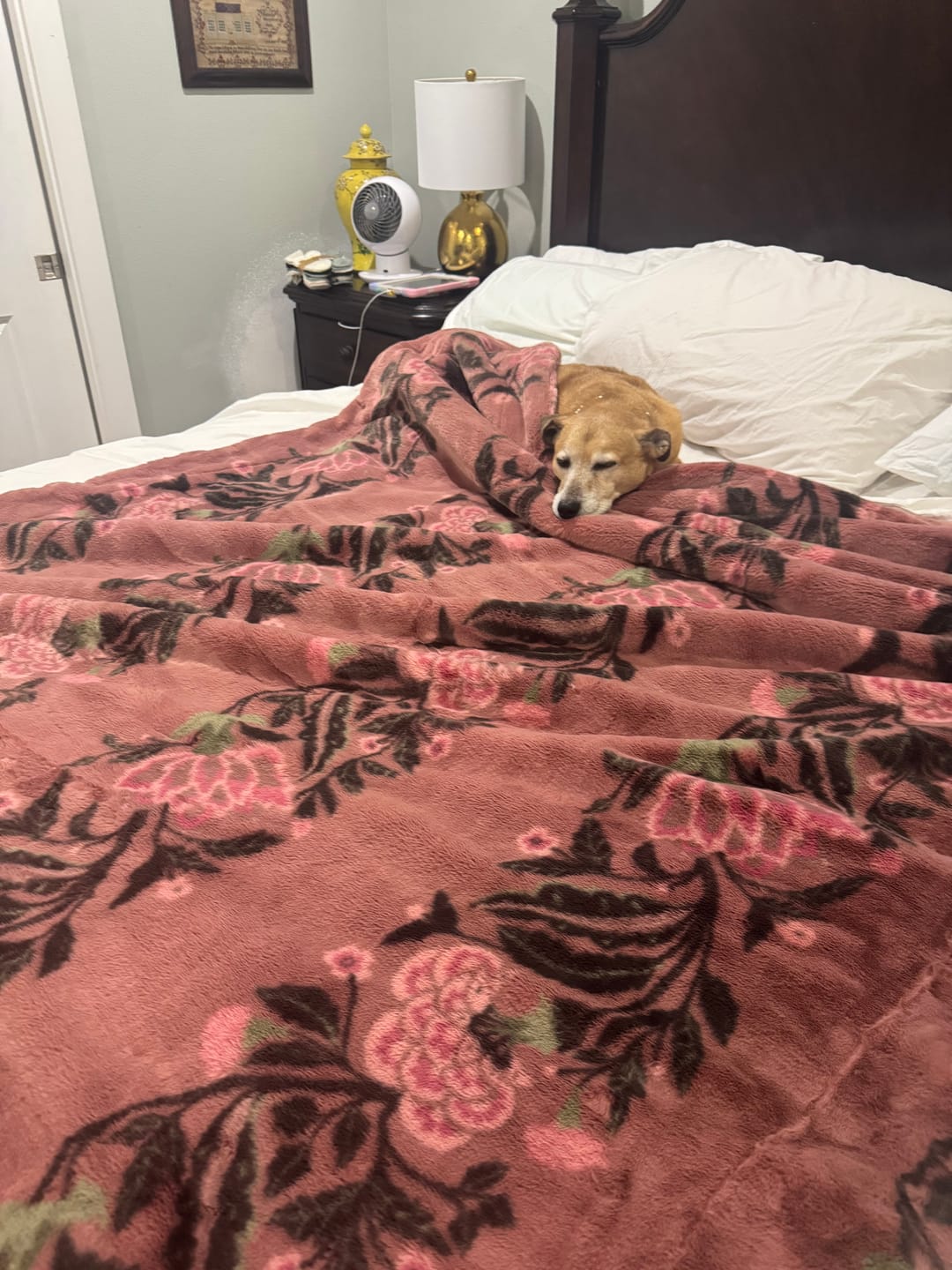 Customer photo review of Lush Jolene Blanket