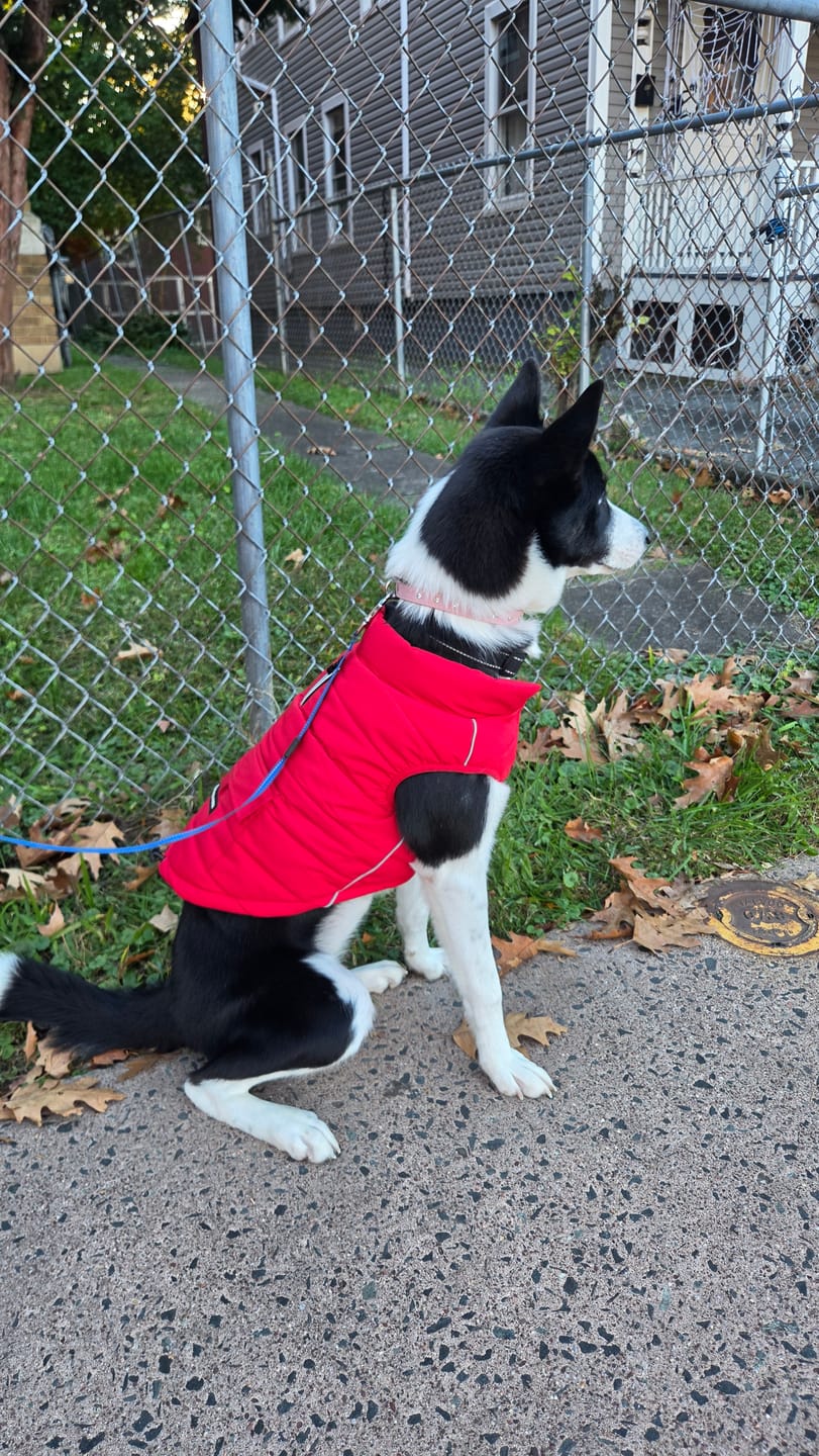 Customer photo review of WarmShield Water-Resistant Jacket - Red