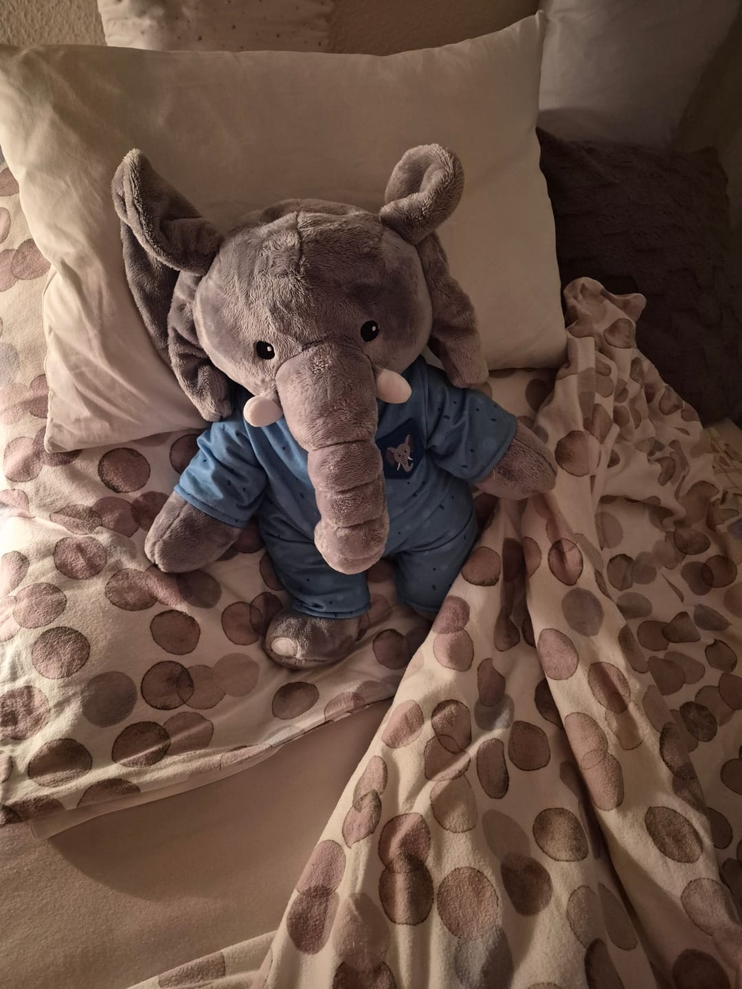 Customer photo review of Olifant Kleding Origineel Lotgenootje