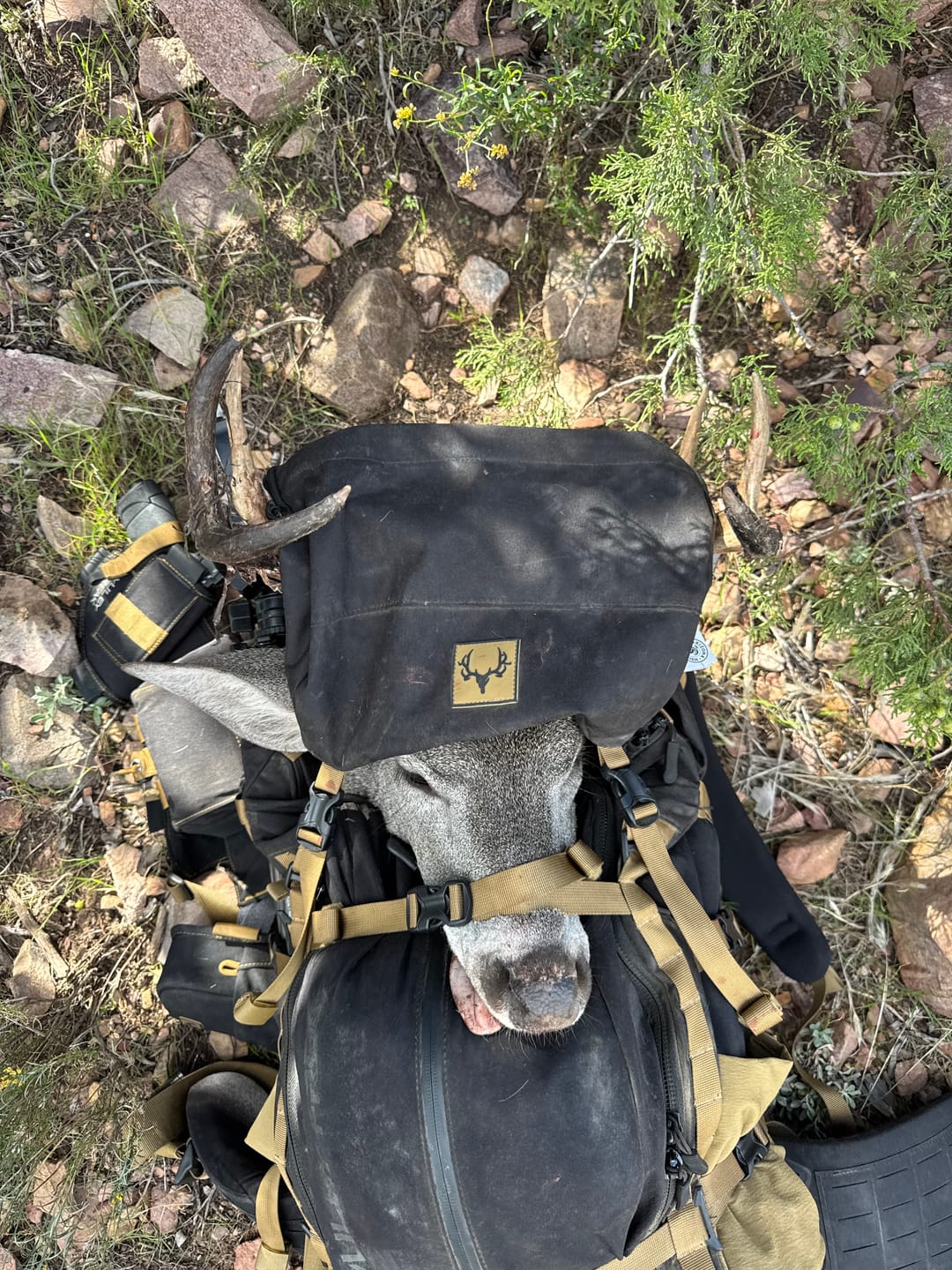 Customer photo review of Cheat Code Hunting Pack
