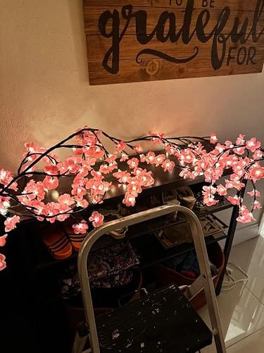 Customer photo review of Astrolamps™ Cherry Blossoms