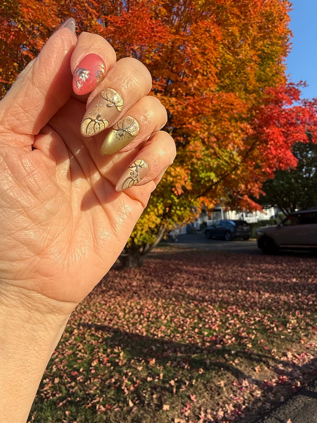 Customer photo review of Golden Pumpkin