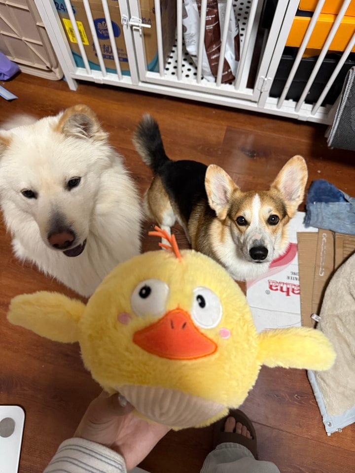 Customer photo review of Side-Eye Chick