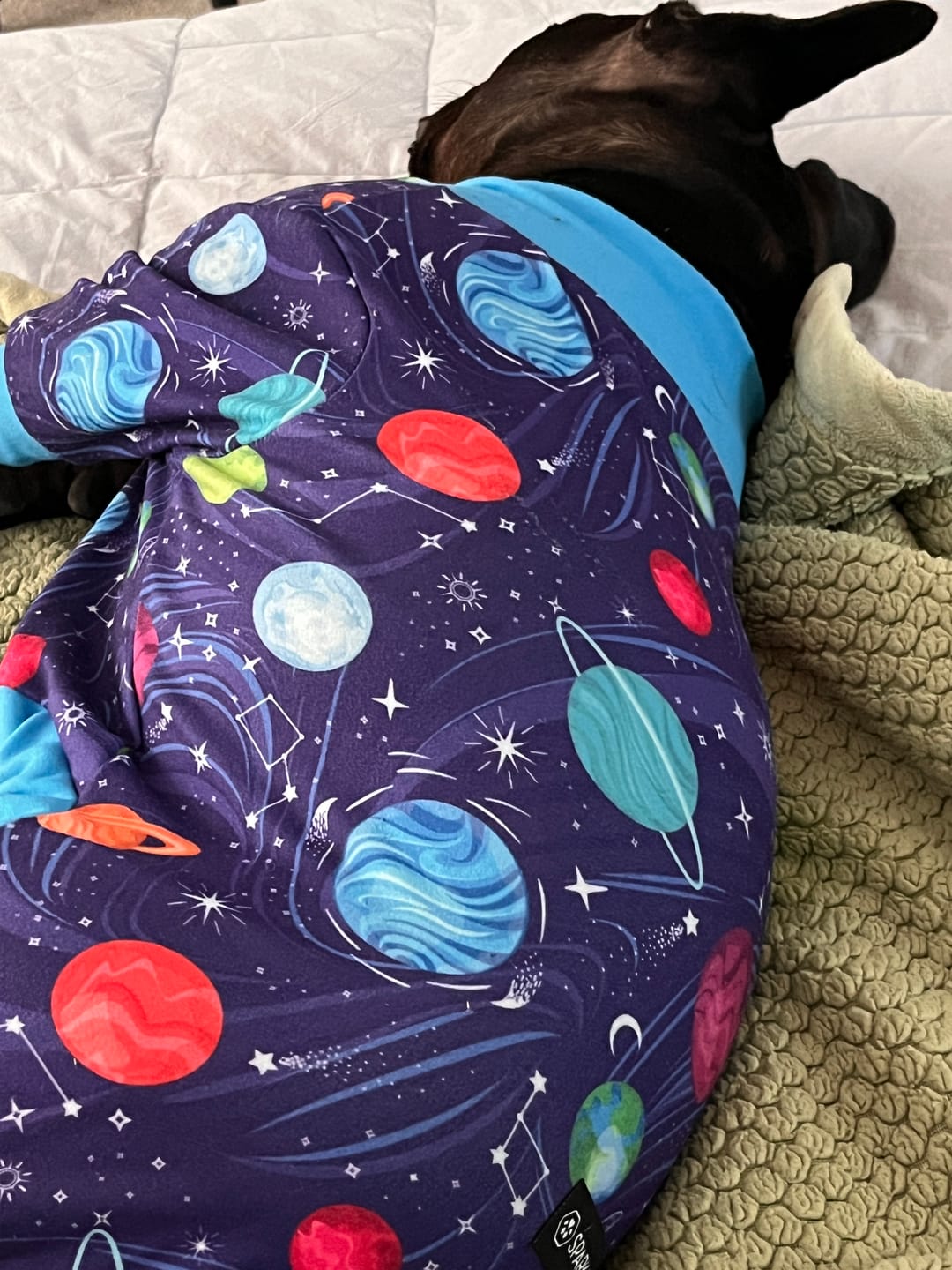 Customer photo review of Dog Pajama - Planets