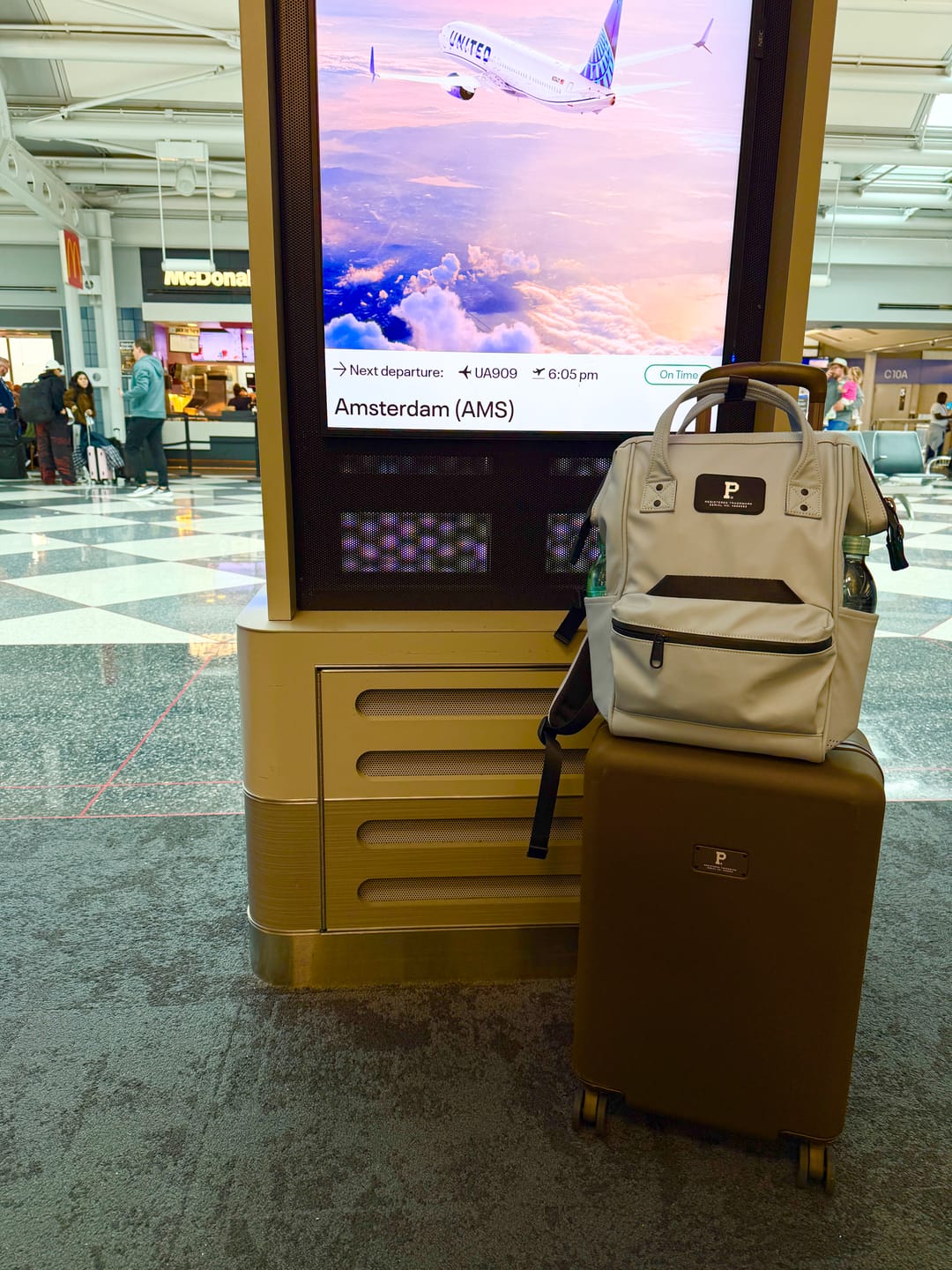 Customer photo review of Cascade Carry-On