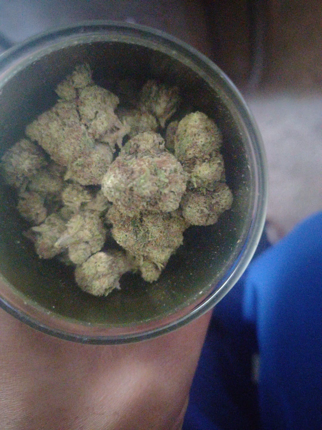 Customer photo review of Acapulco Punch THCA Flower