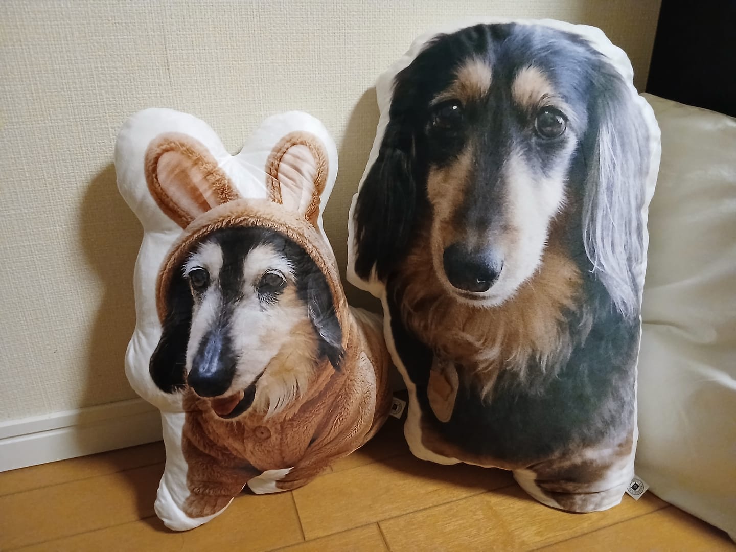 Customer photo review of 世界にひとつだけ♪好きな写真で作るオーダーメイドクッション（20～80cm）