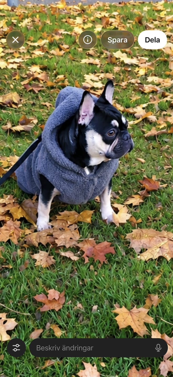 Customer photo review of Teddy Sherpa Jacket - Grey