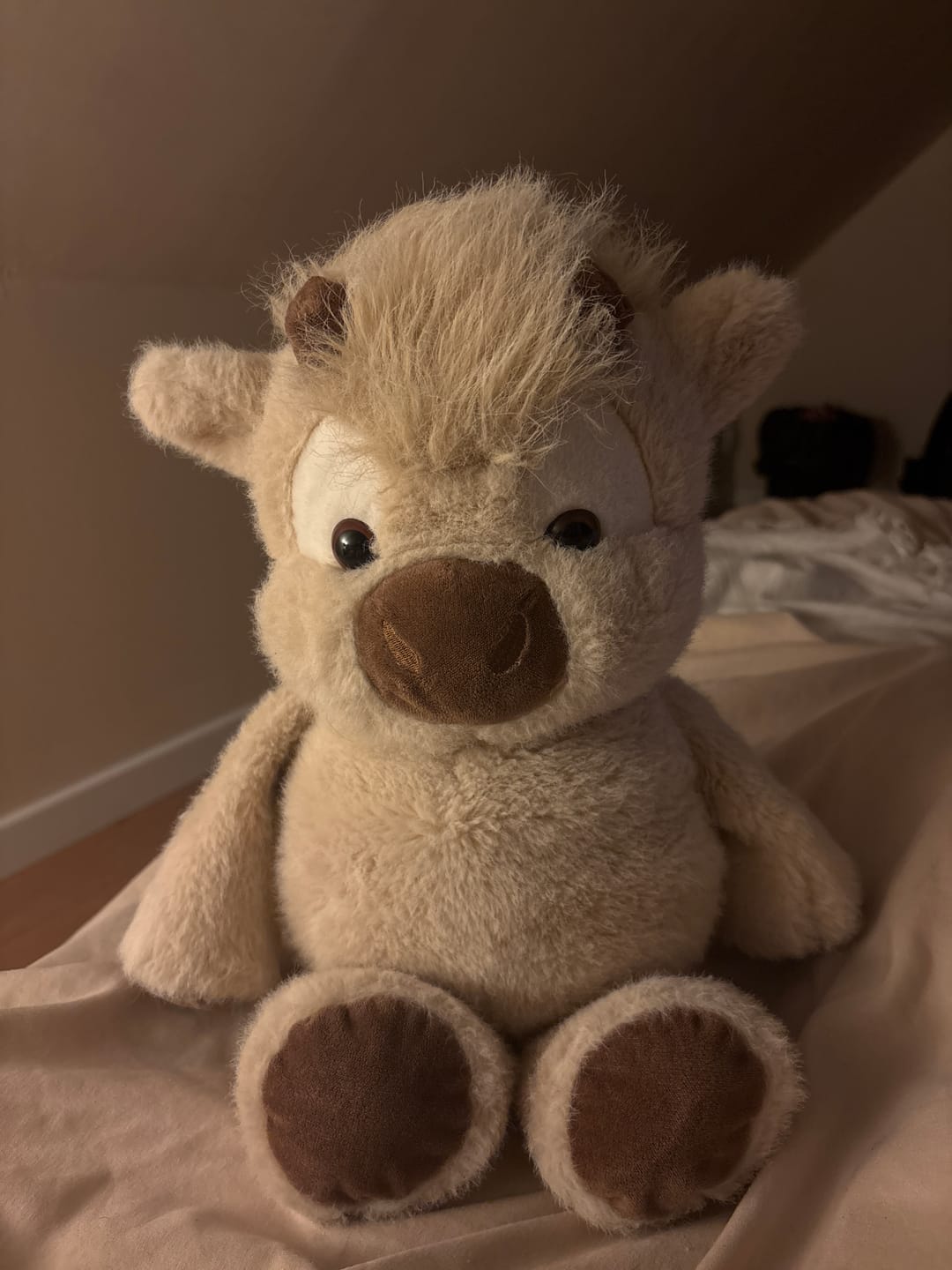 Customer photo review of Peluche vache highland qui court | Floomie®