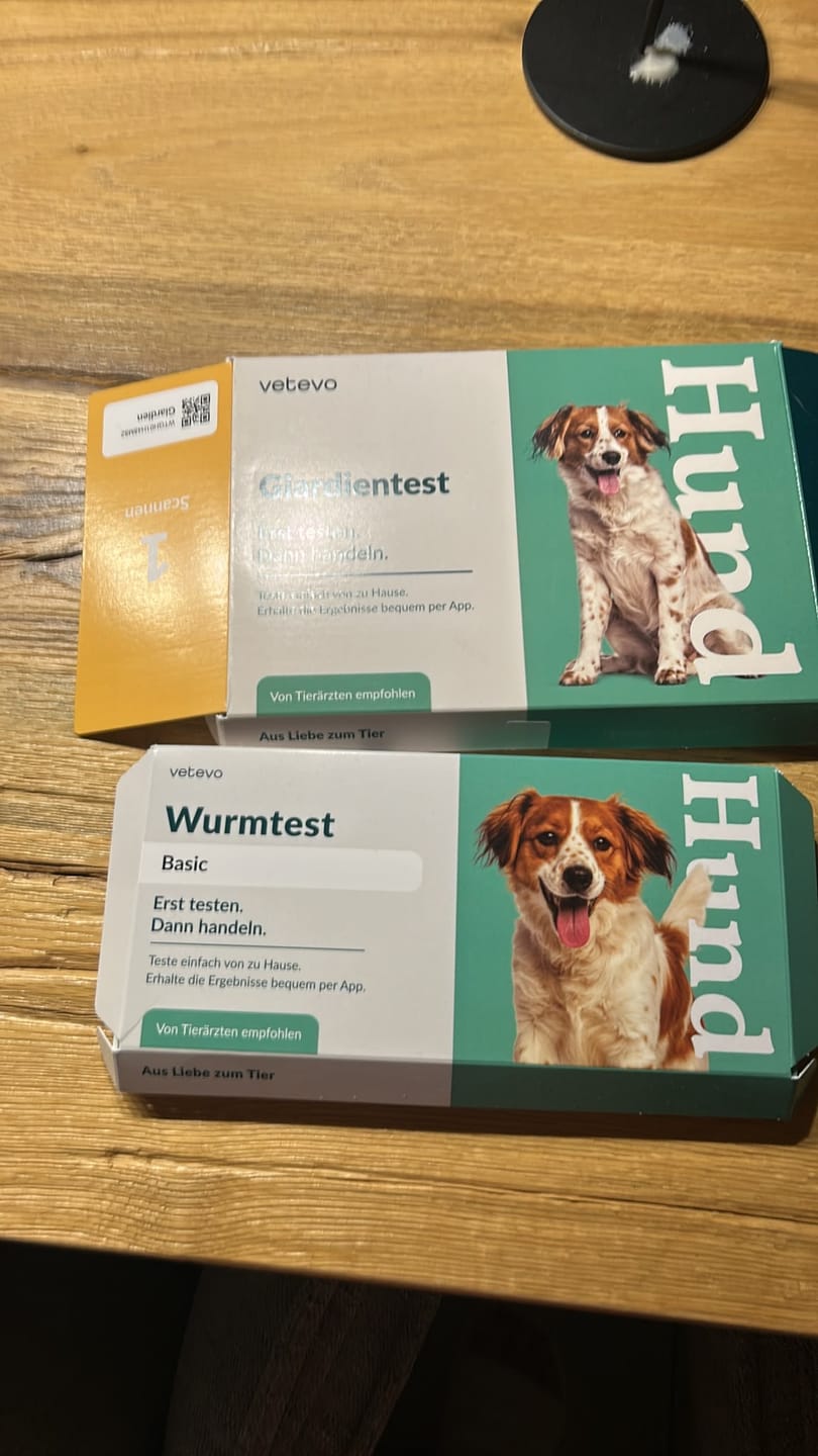 Customer photo review of Wurmtest Plus Hund