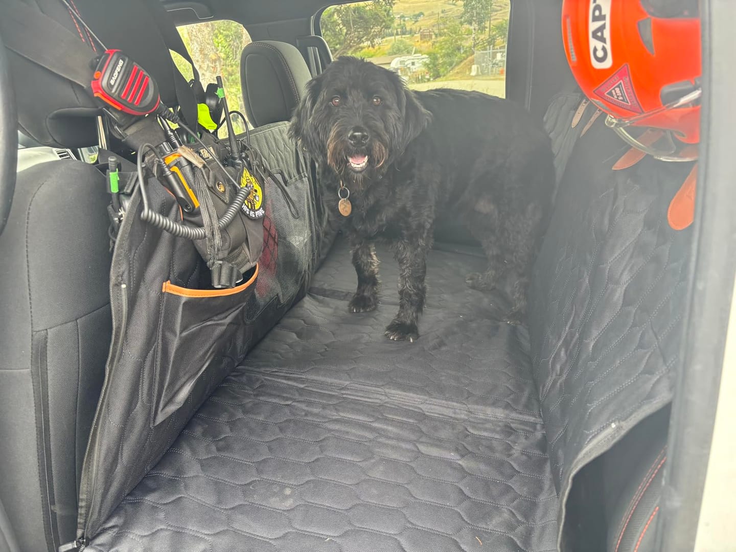 Customer photo review of Car Seat Cover & Back Seat Extender (Hard Bottom) for Dogs