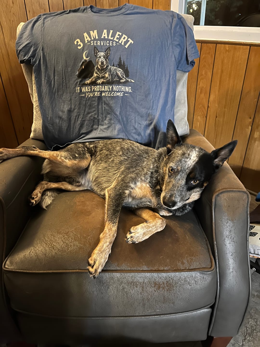 Customer photo review of 3 AM Alert Services Cattle Dog Shirt