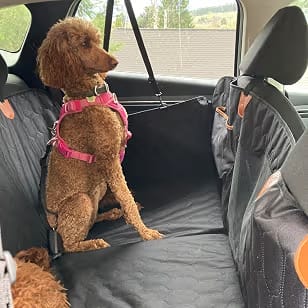 Customer photo review of Car Seat Cover & Back Seat Extender (Hard Bottom) for Dogs