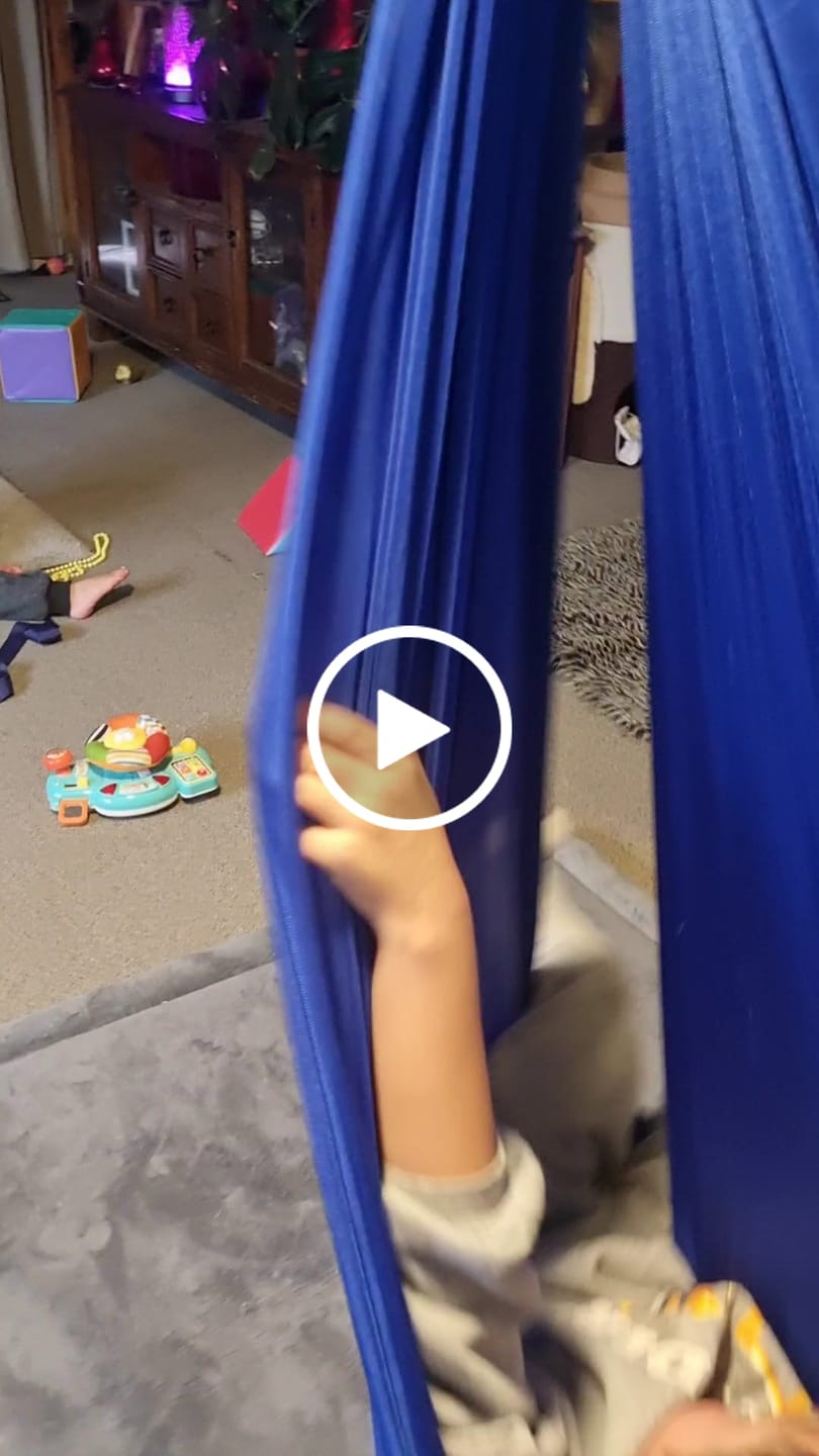 Customer video review of NeuroCalm™ Premium Sensory Swing