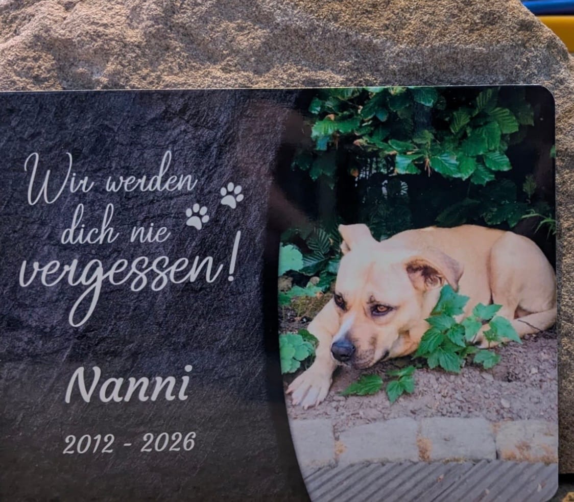 Customer photo review of Hunde Gedenktafel mit Foto & Spruch (UV- &  Wetterfest)