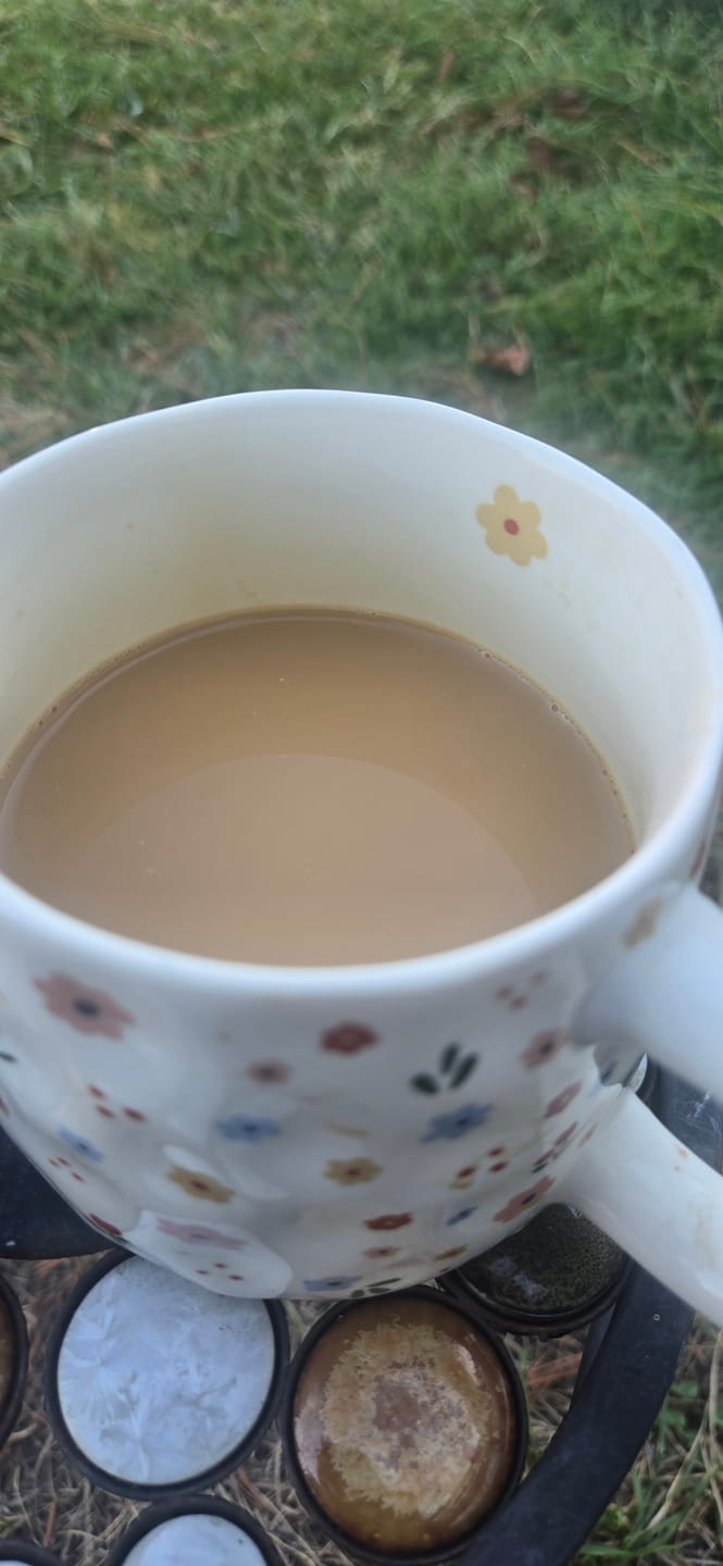 Customer photo review of Black Diamond - Medium - Espresso/Drip