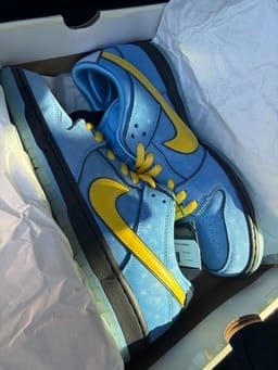 Customer photo review of The Shoesxva