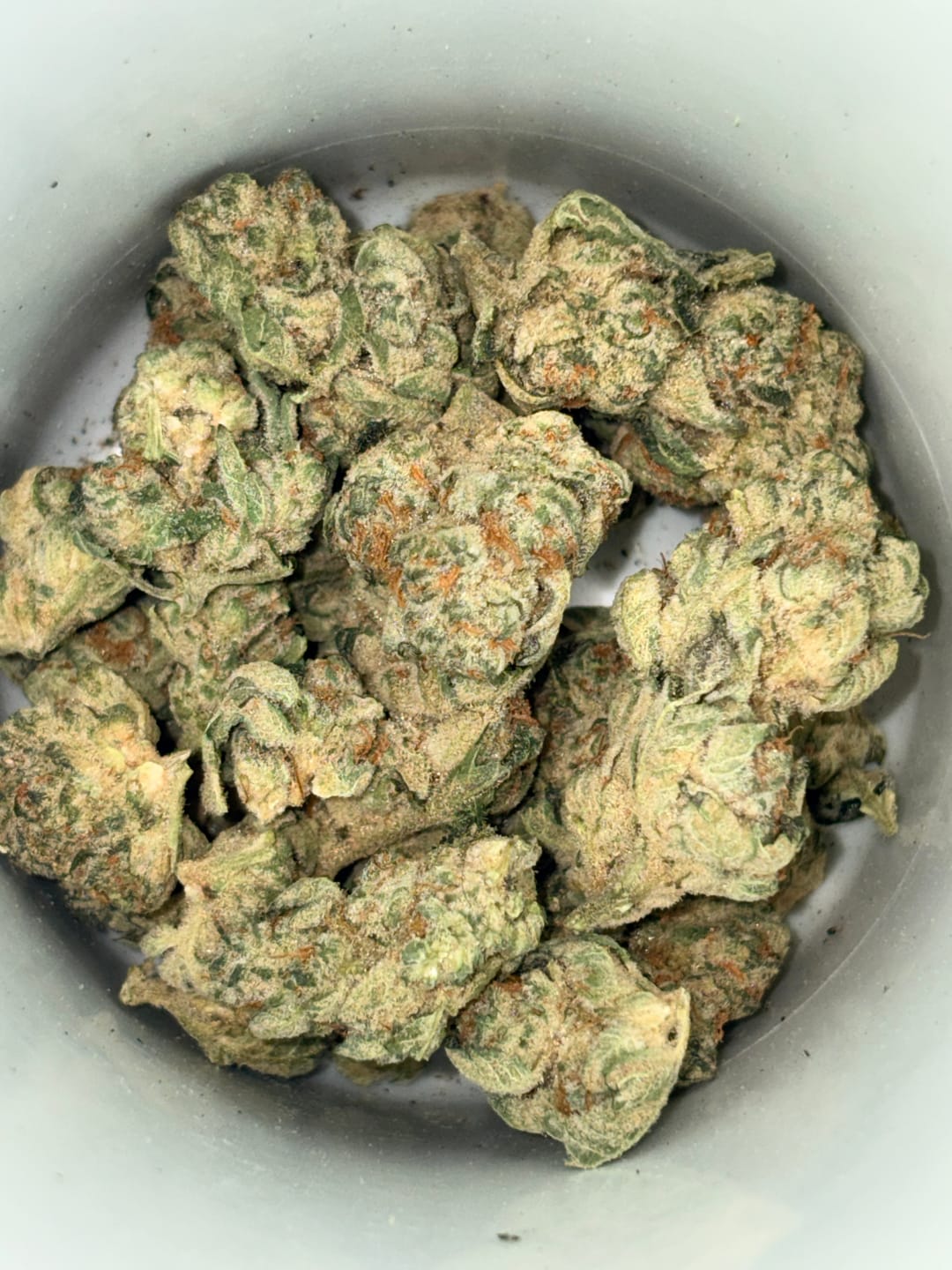 Customer photo review of Blueberry THCA Flower (Exotic)