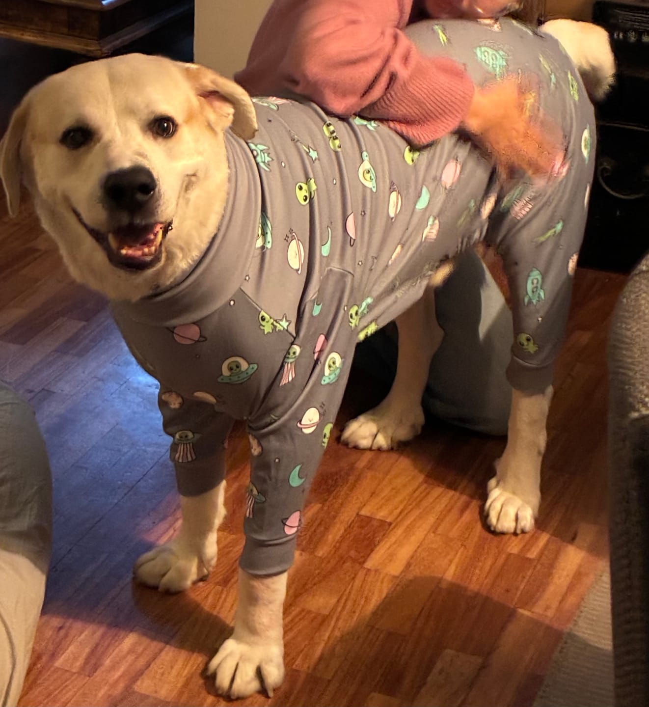 Customer photo review of Dog Pajama - Alien