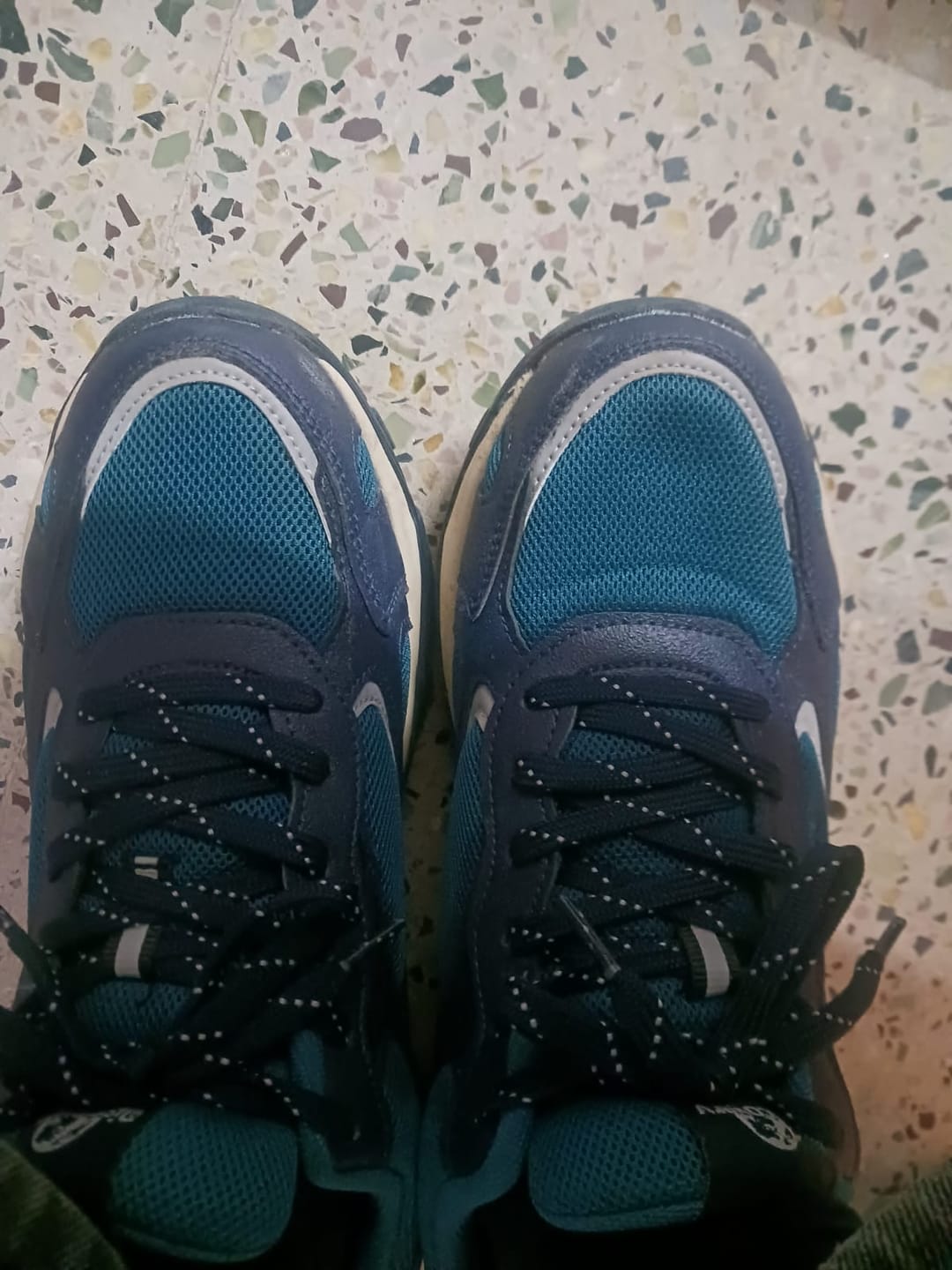 Customer photo review of Discovery Trek 0.1