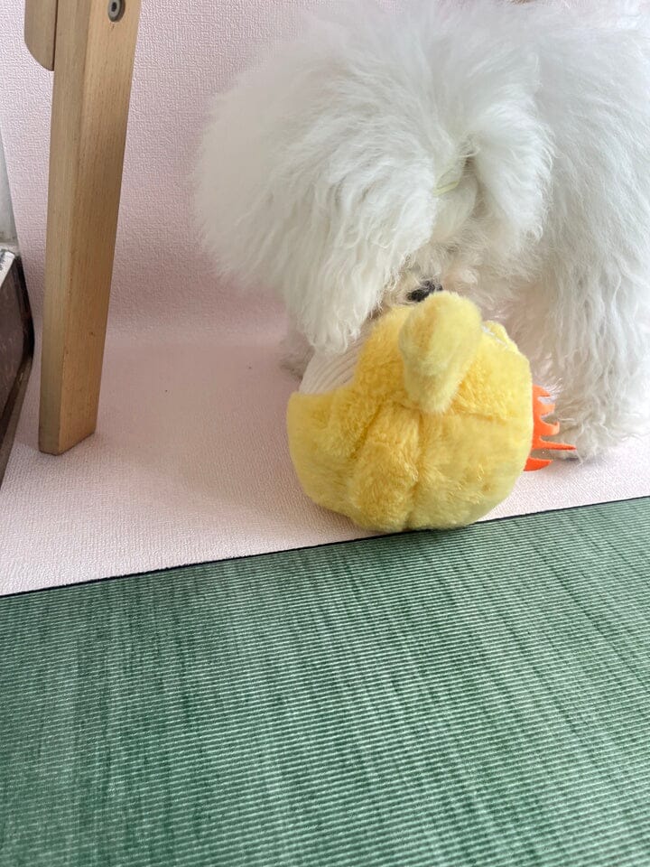Customer photo review of Side-Eye Chick