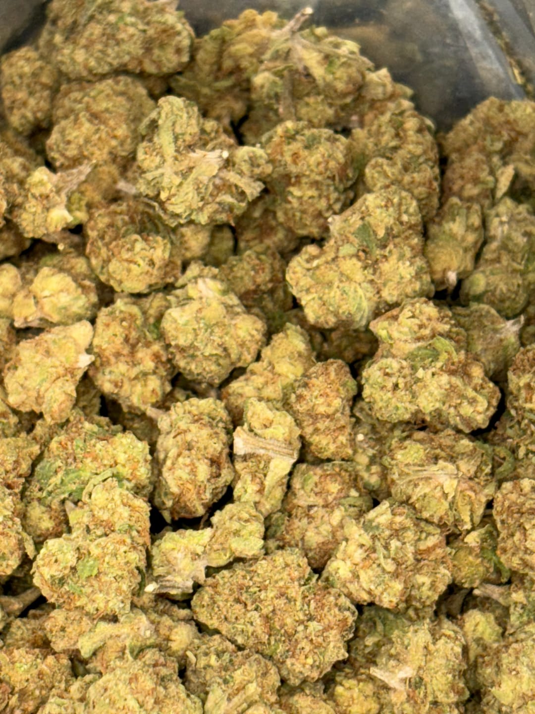 Customer photo review of Ghost Train Haze THCA Flower