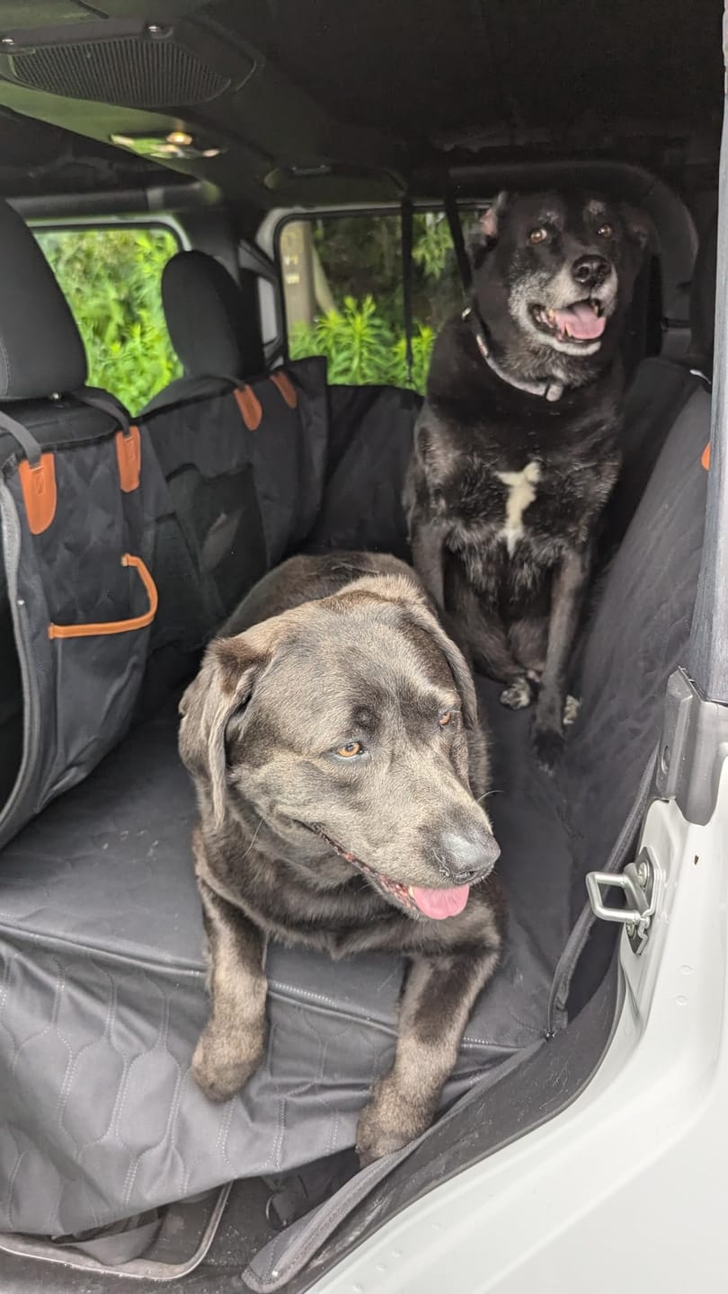 Customer photo review of Car Seat Cover & Back Seat Extender (Hard Bottom) for Dogs