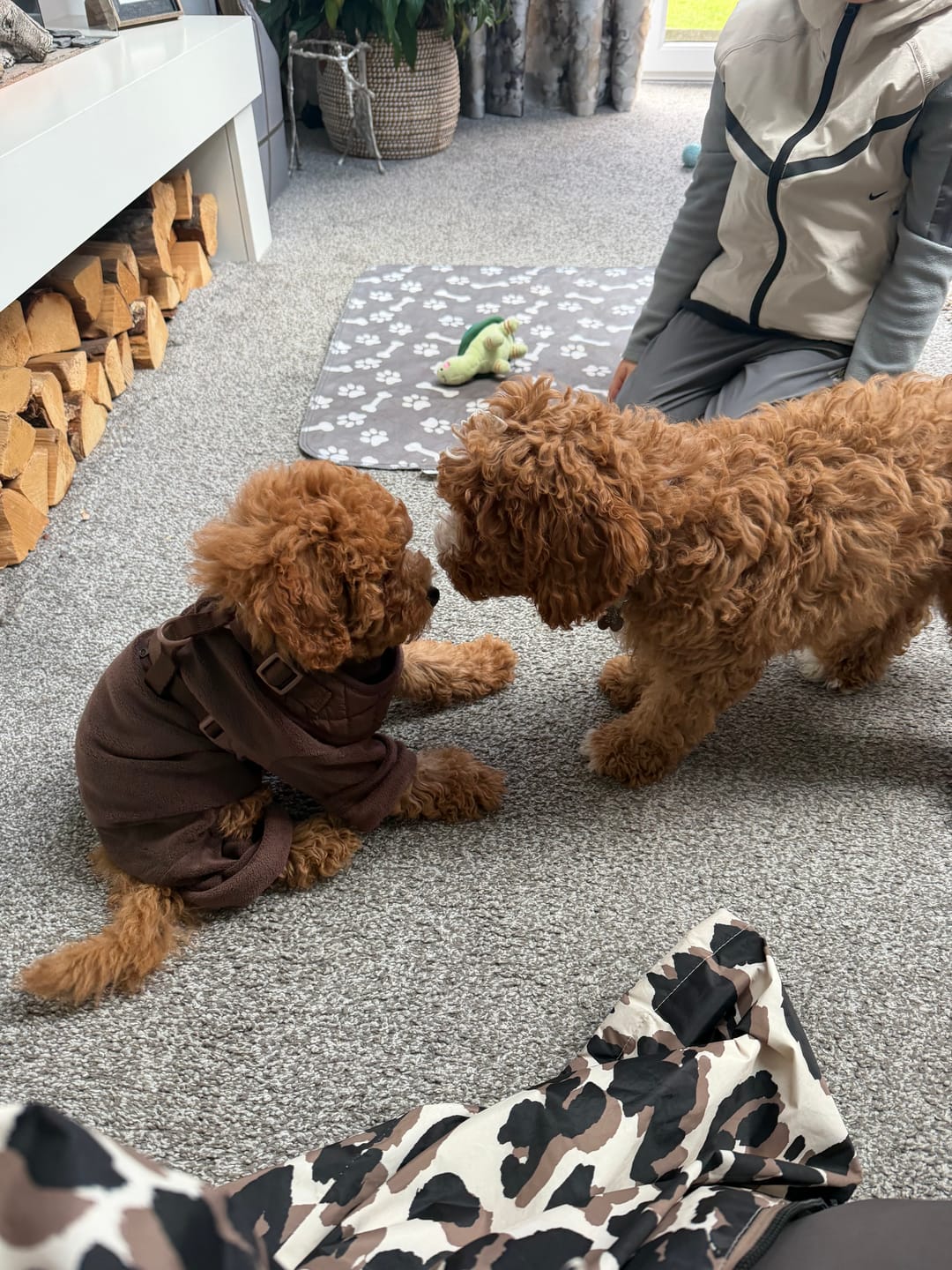 Customer photo review of Chocolate | The Capsule Fleece Bodysuit