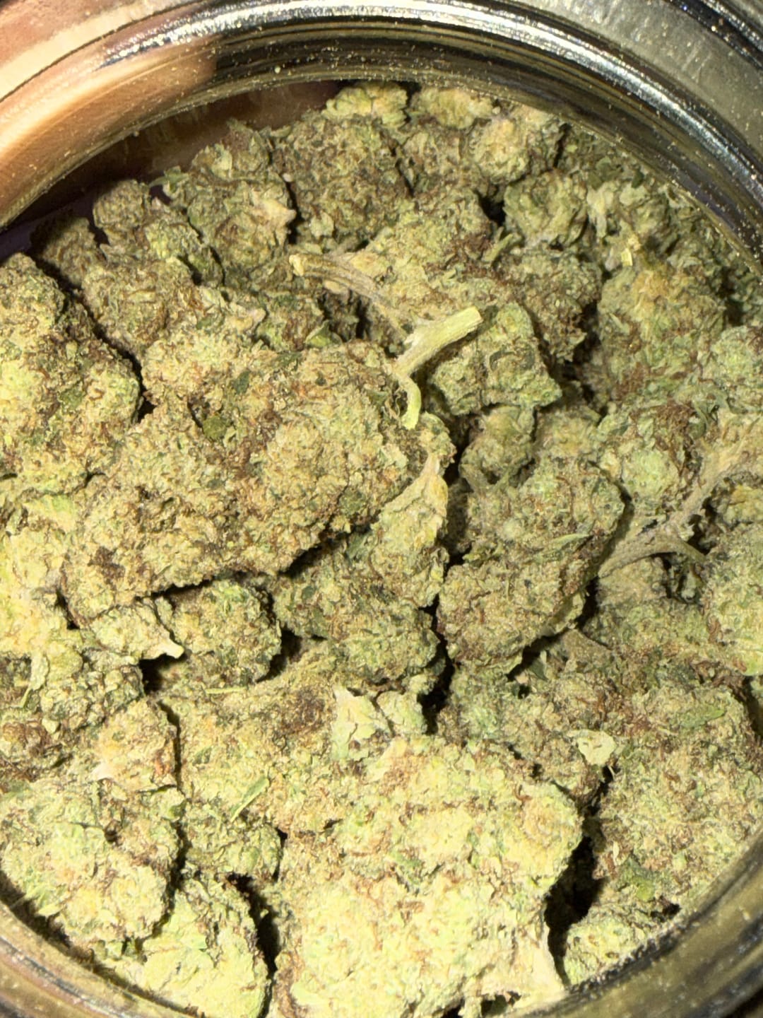 Customer photo review of Acapulco Punch THCA Flower