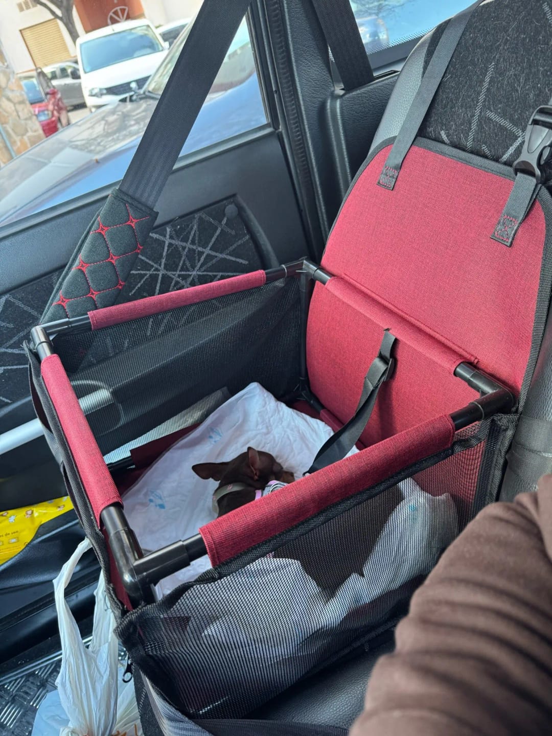 Customer photo review of SeatGuard Foldable Dog Car Booster Seat