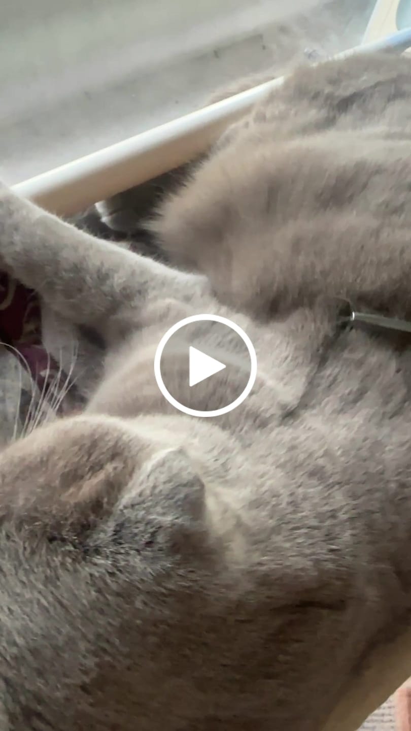 Customer video review of Pettine minicomb