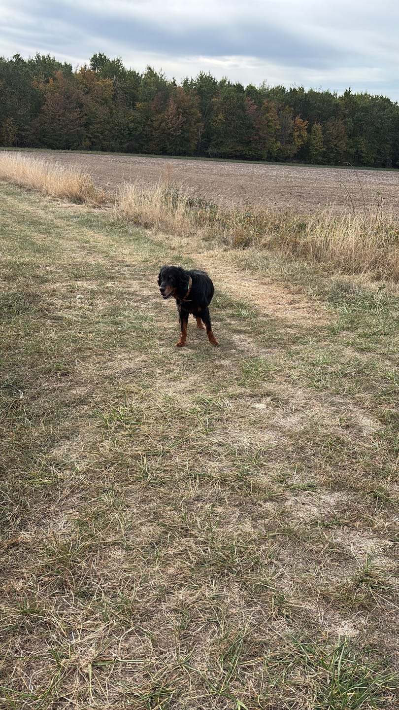 Customer photo review of Zpray für Hunde & Menschen