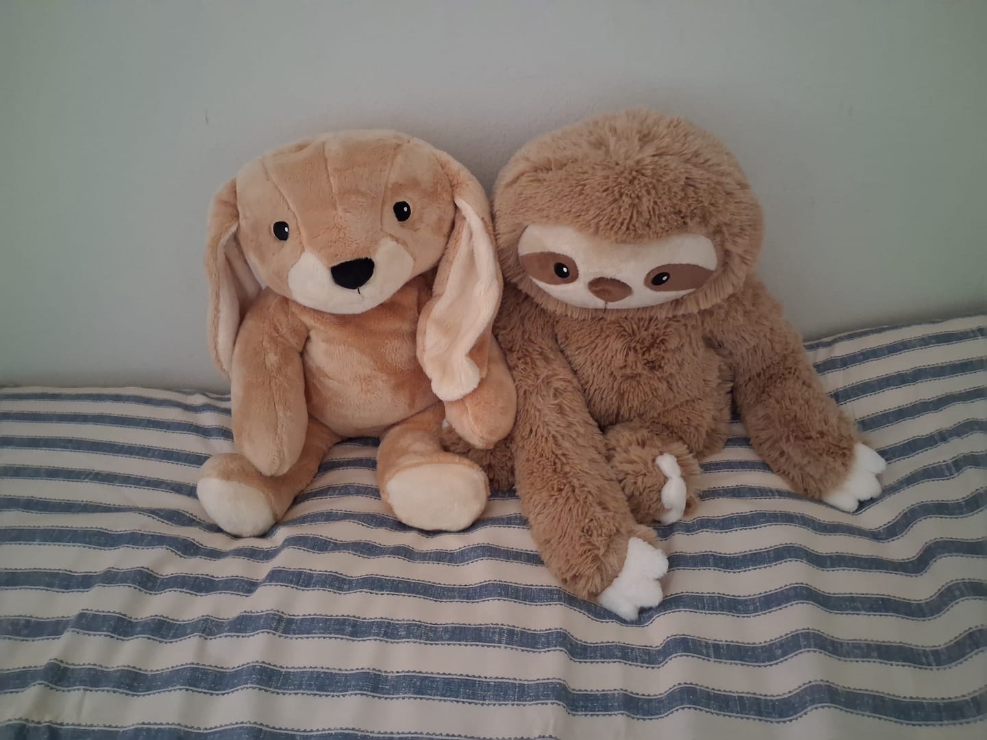 Customer photo review of Lotgenootje Konijn 2kg