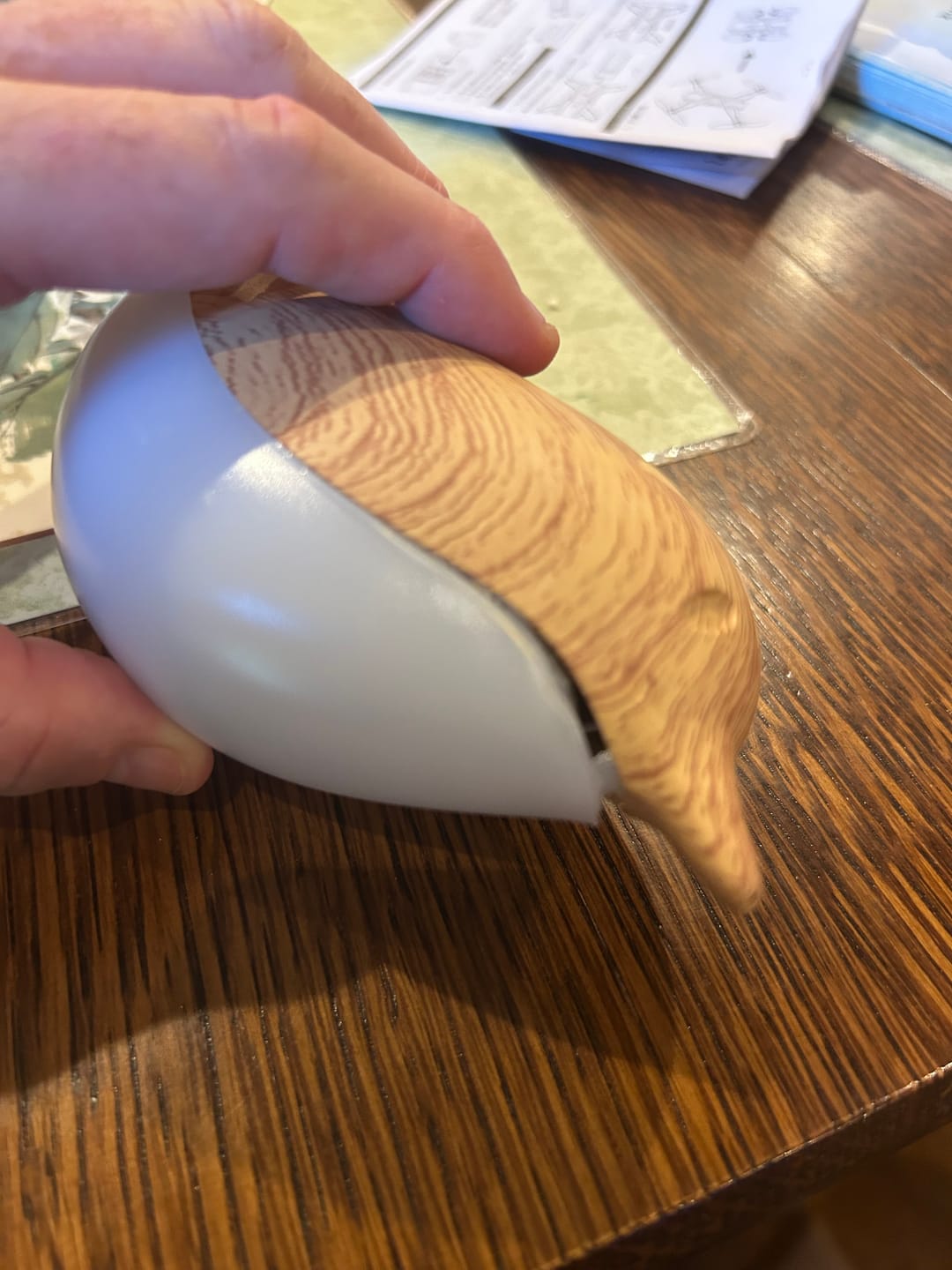 Customer photo review of Glow Bird