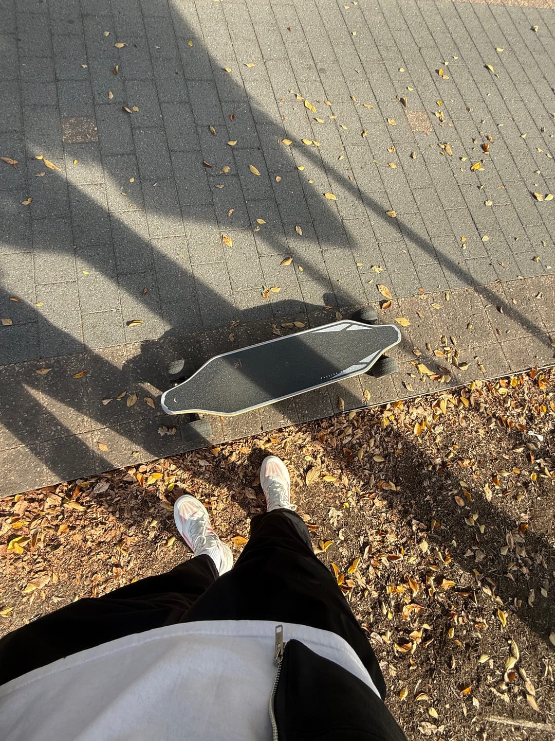 Customer photo review of WowGo 2S MAX Electric Skateboard & Longboard