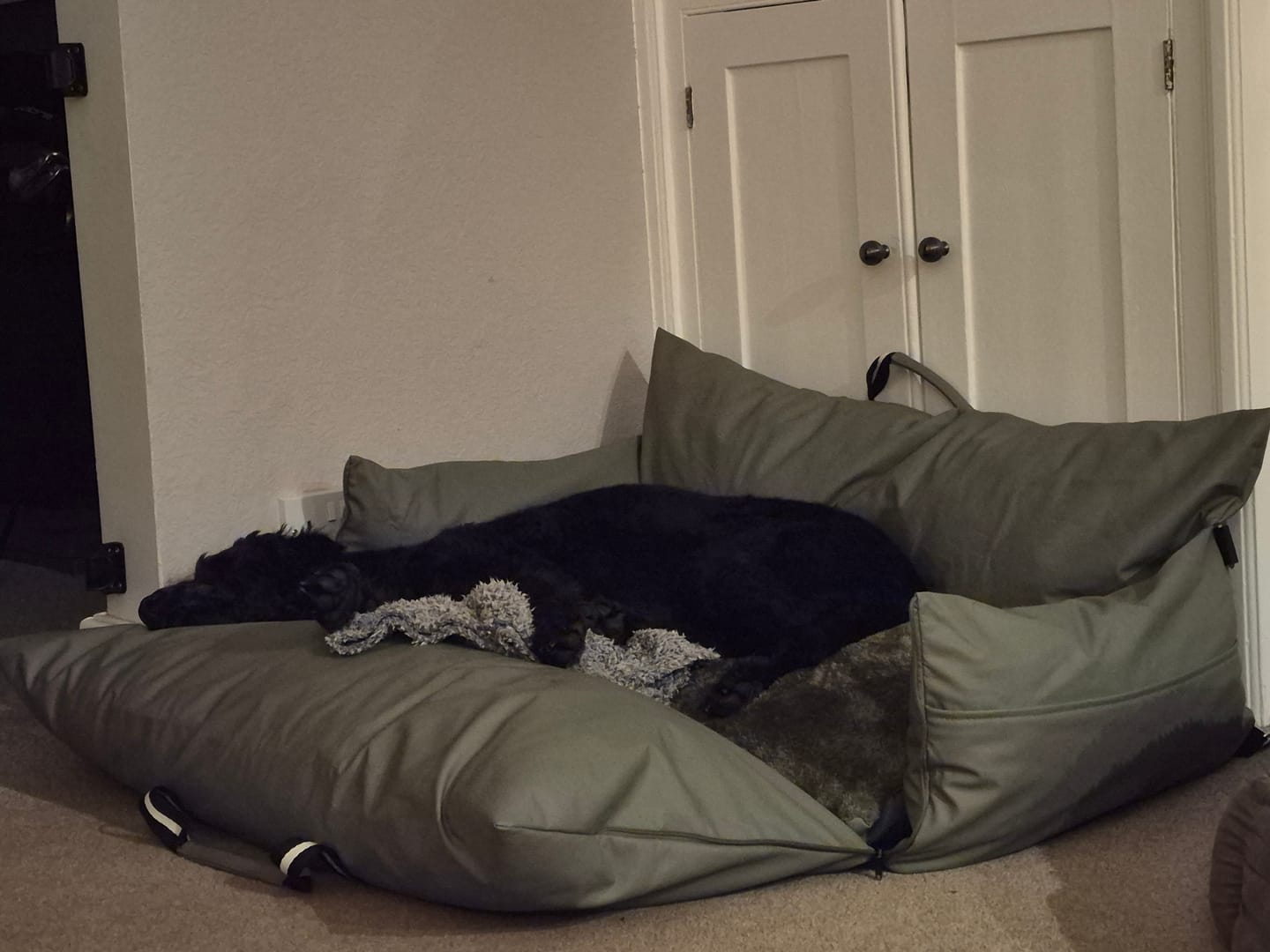 Customer photo review of Dog Dock V2 New & Improved ISO Fix