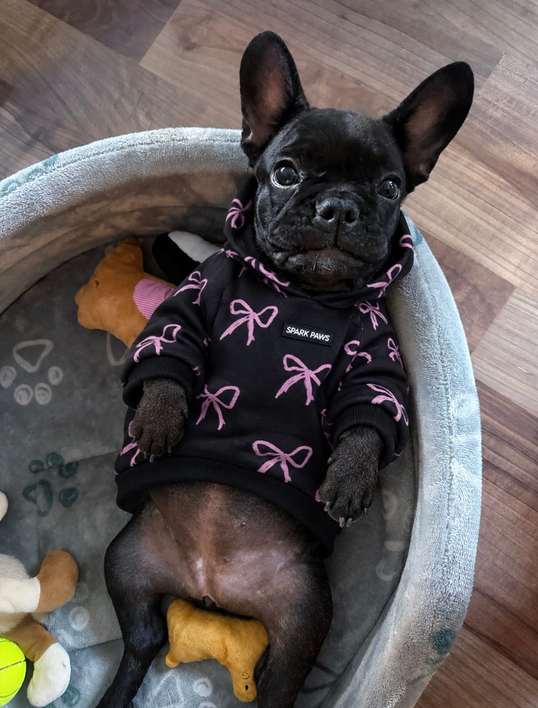 Customer photo review of Dog Hoodie Prints
