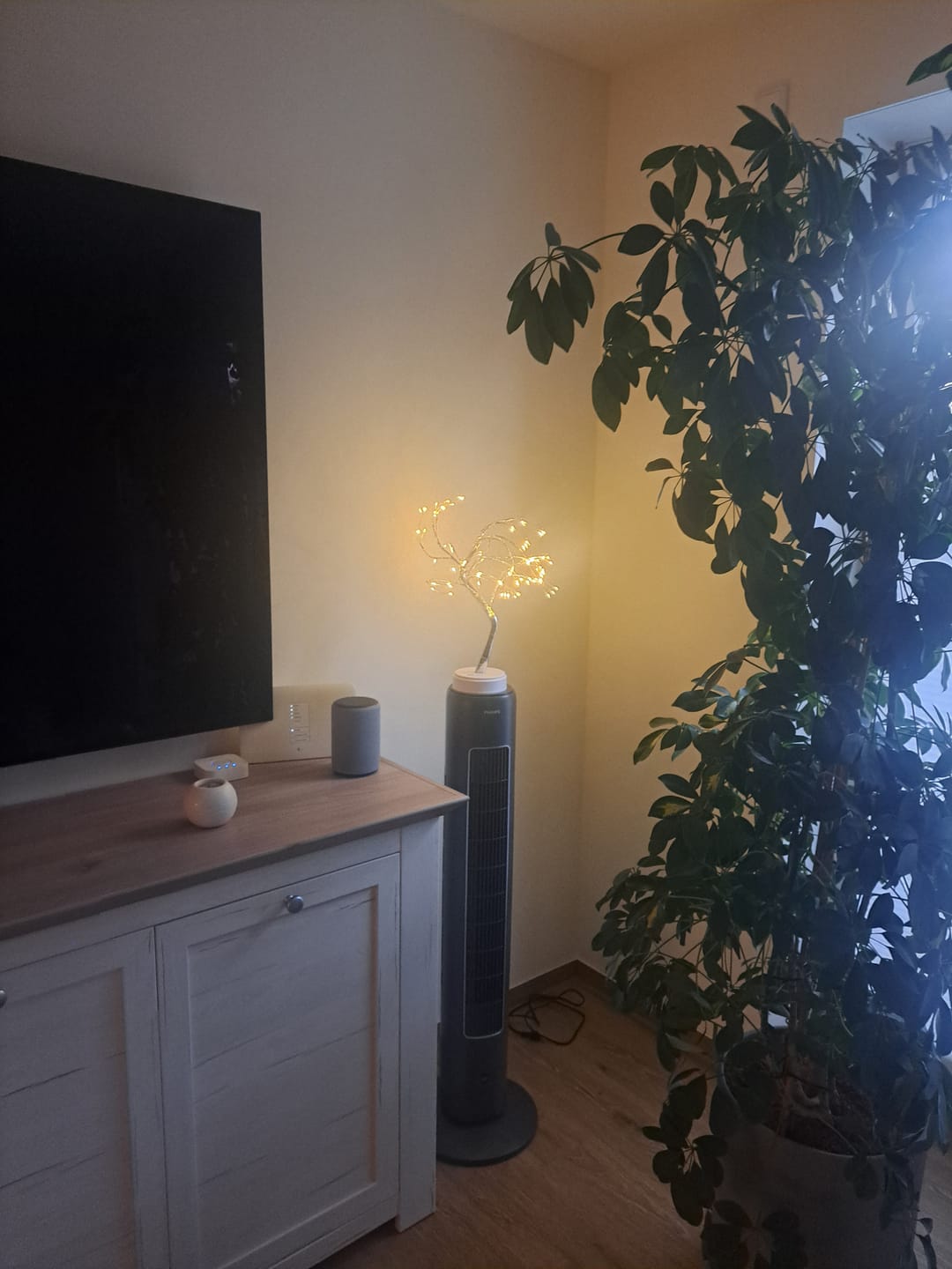 Customer photo review of Bäumlein® - 108 LED's