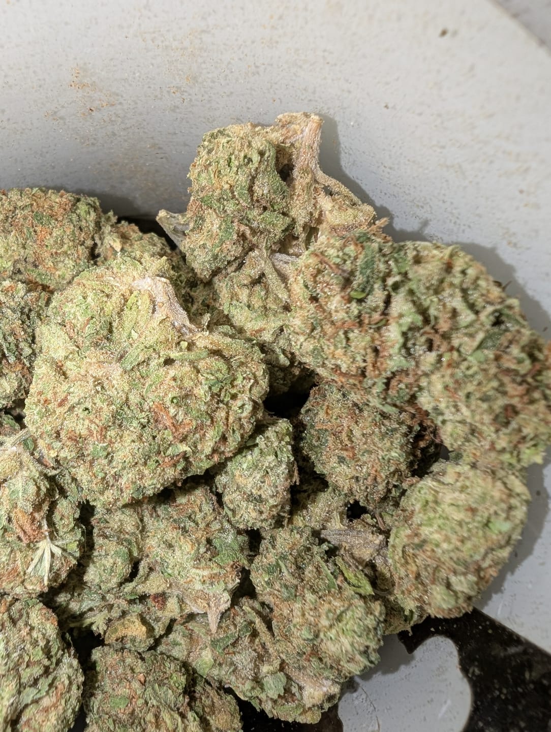 Customer photo review of Papaya Runtz THCA Flower