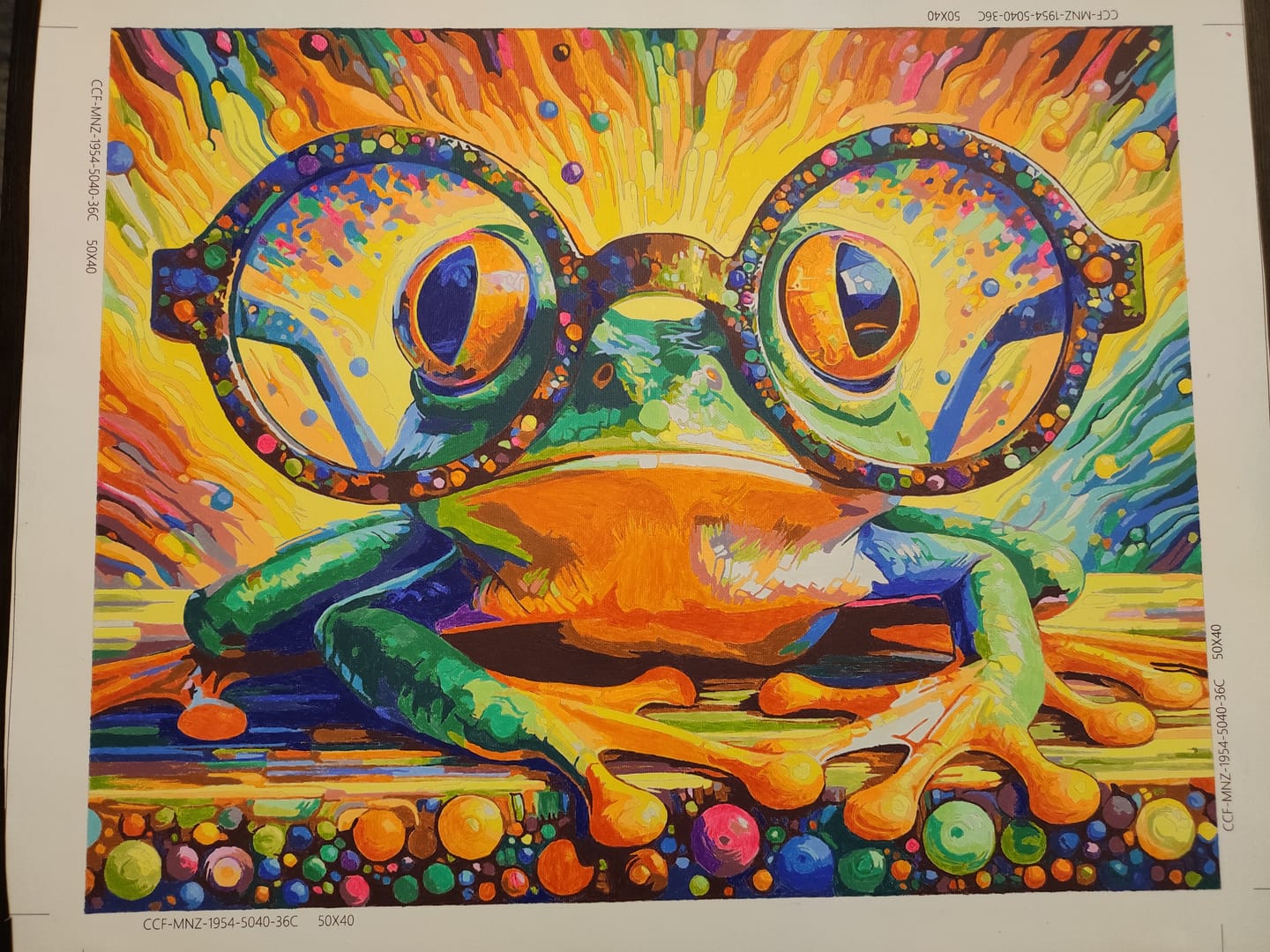 Customer photo review of Frosch mit Brille - Malen nach Zahlen