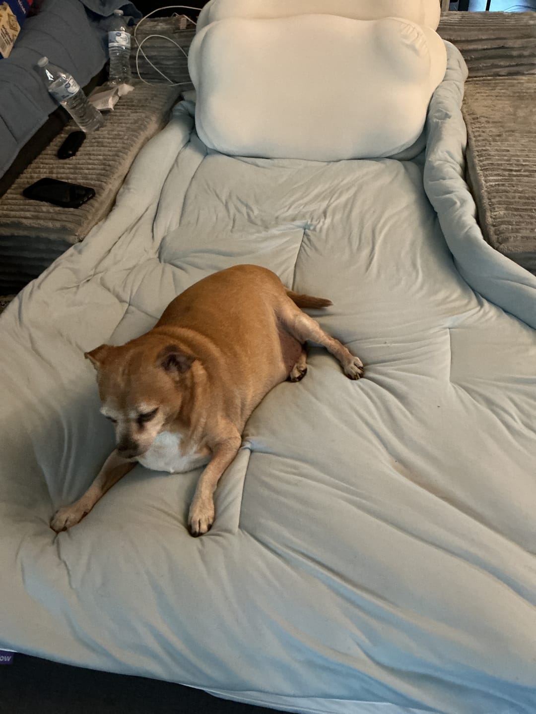 Customer photo review of MarshMellow Comforter