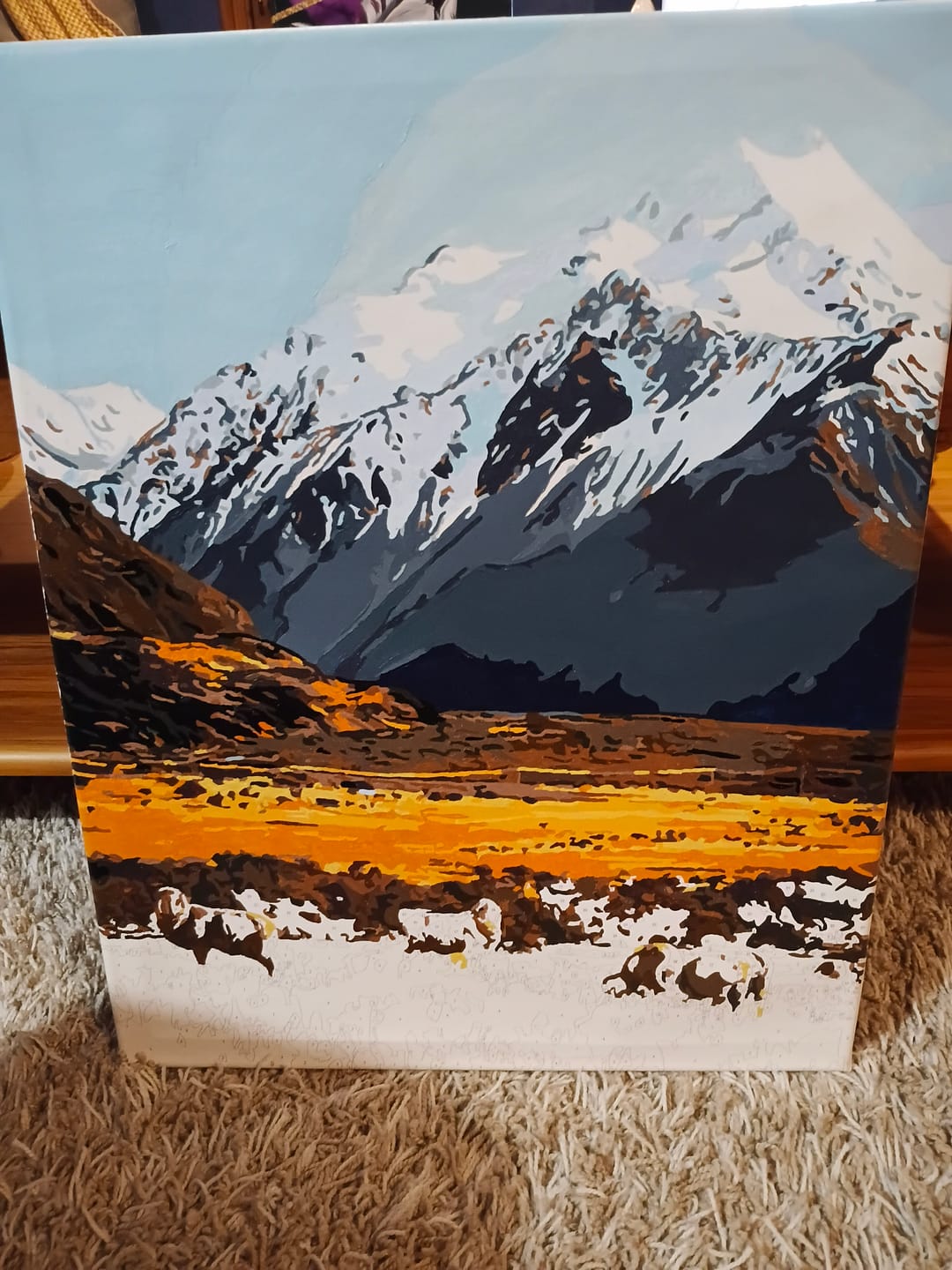 Customer photo review of High Country Merinos