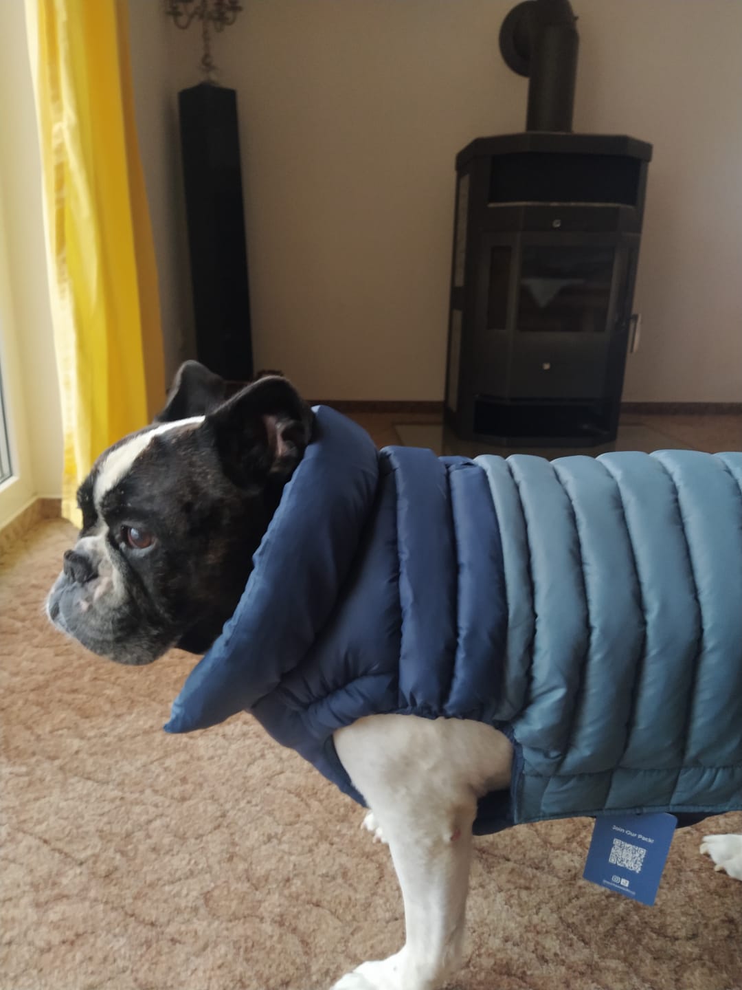 Customer photo review of PuffShield Winter Jackets
