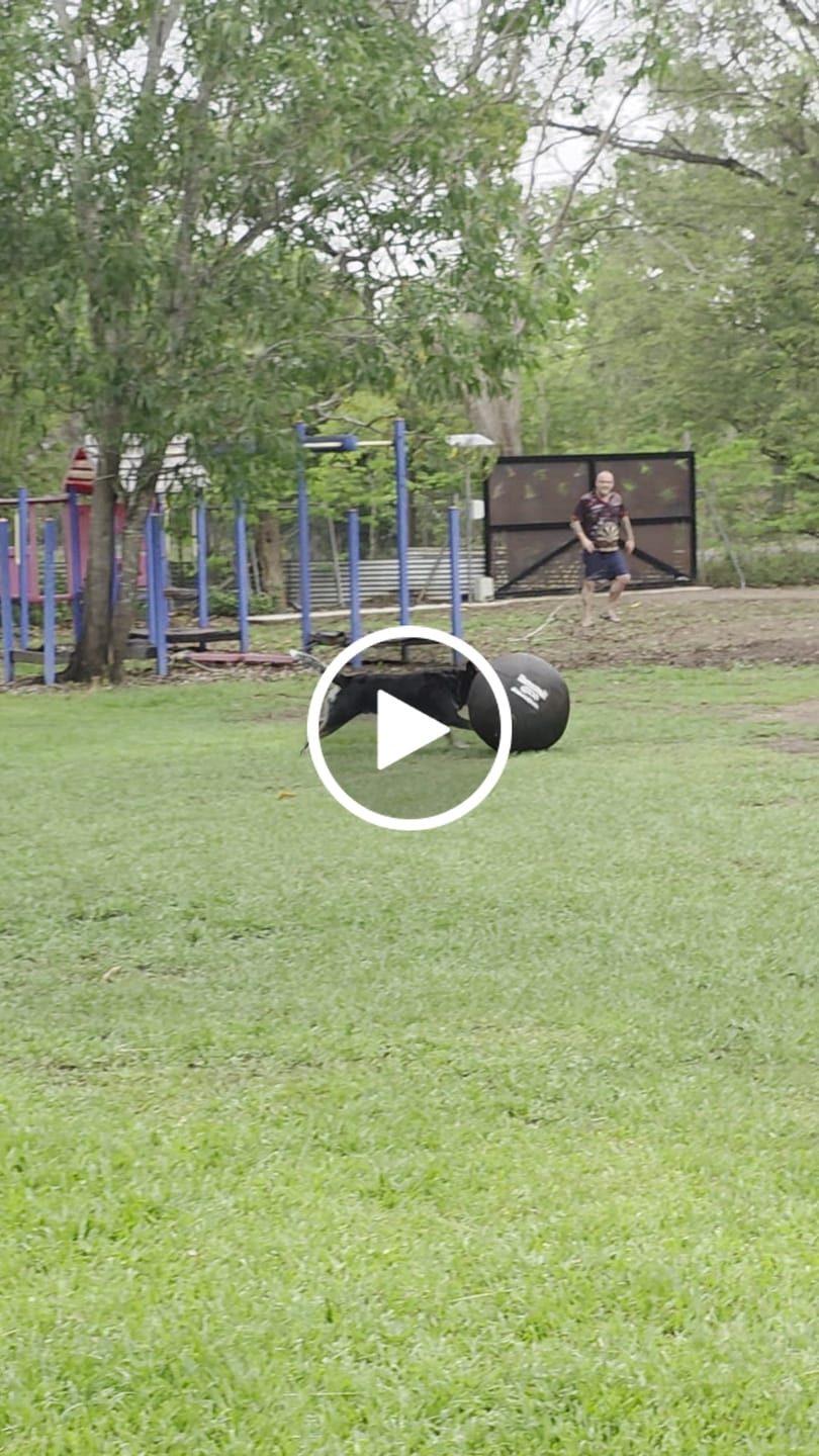 Customer video review of Inner Ball