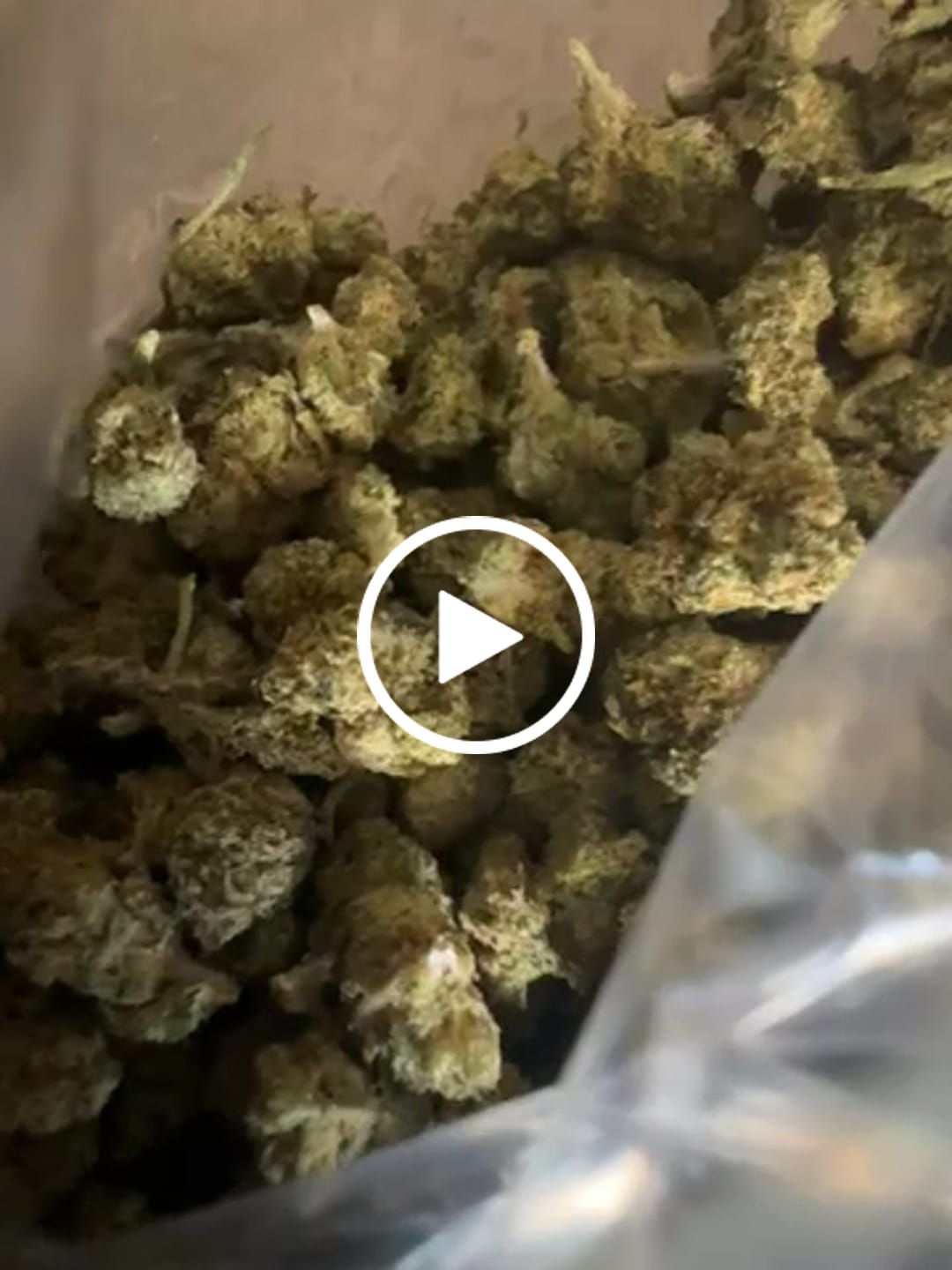 Customer video review of Greenhouse Smalls