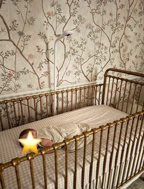 Customer photo review of Picnic Gingham Crib Sheet - Pink