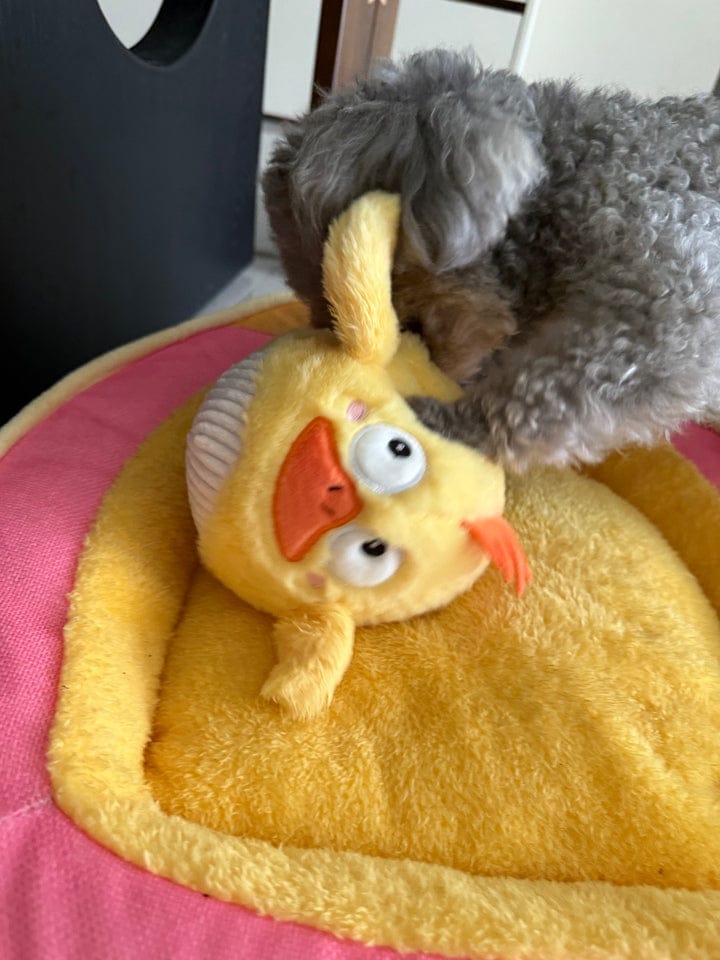 Customer photo review of Side-Eye Chick